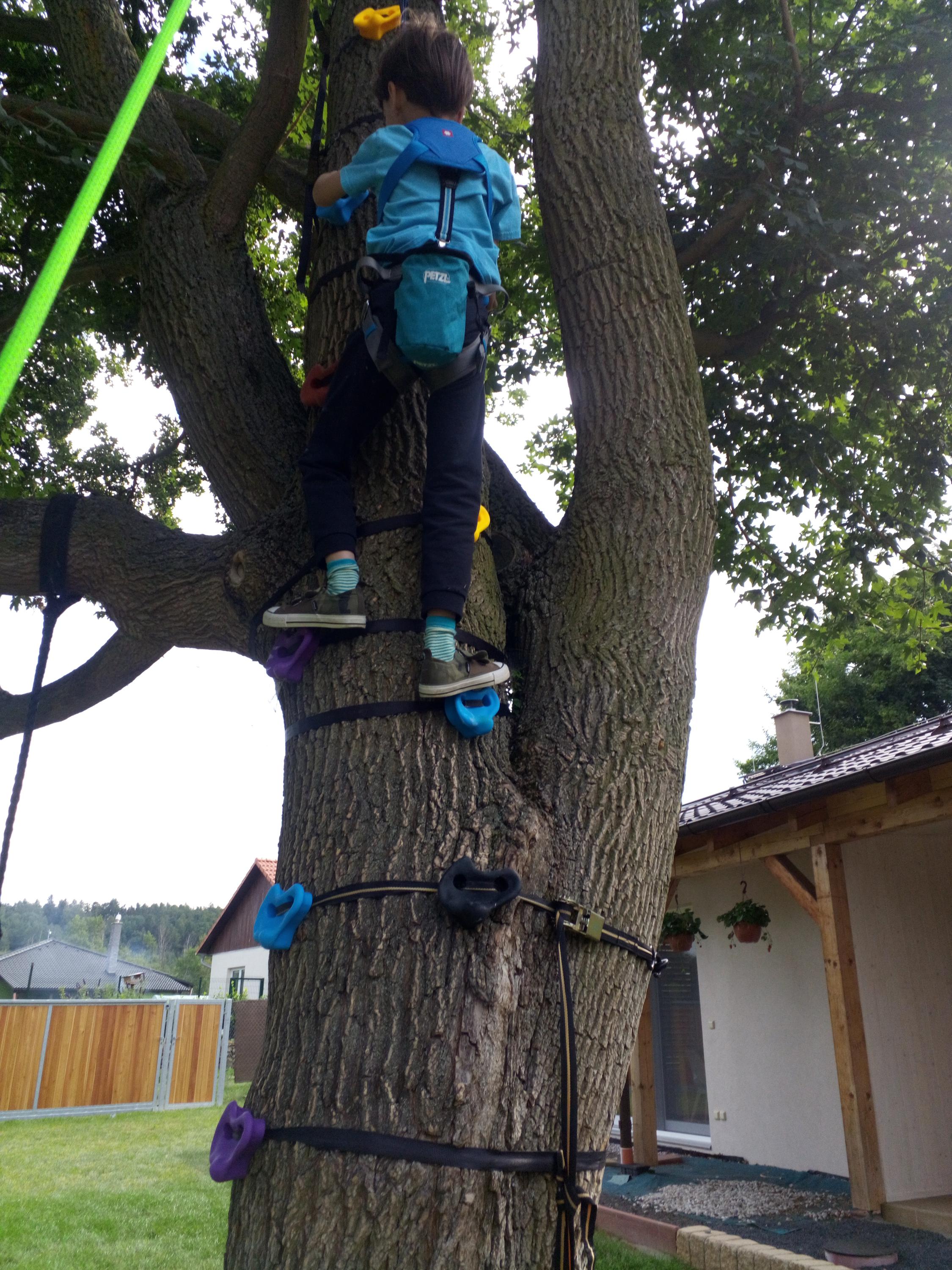 Kamil Imríšek - ARBOMA Tree Service foto 4