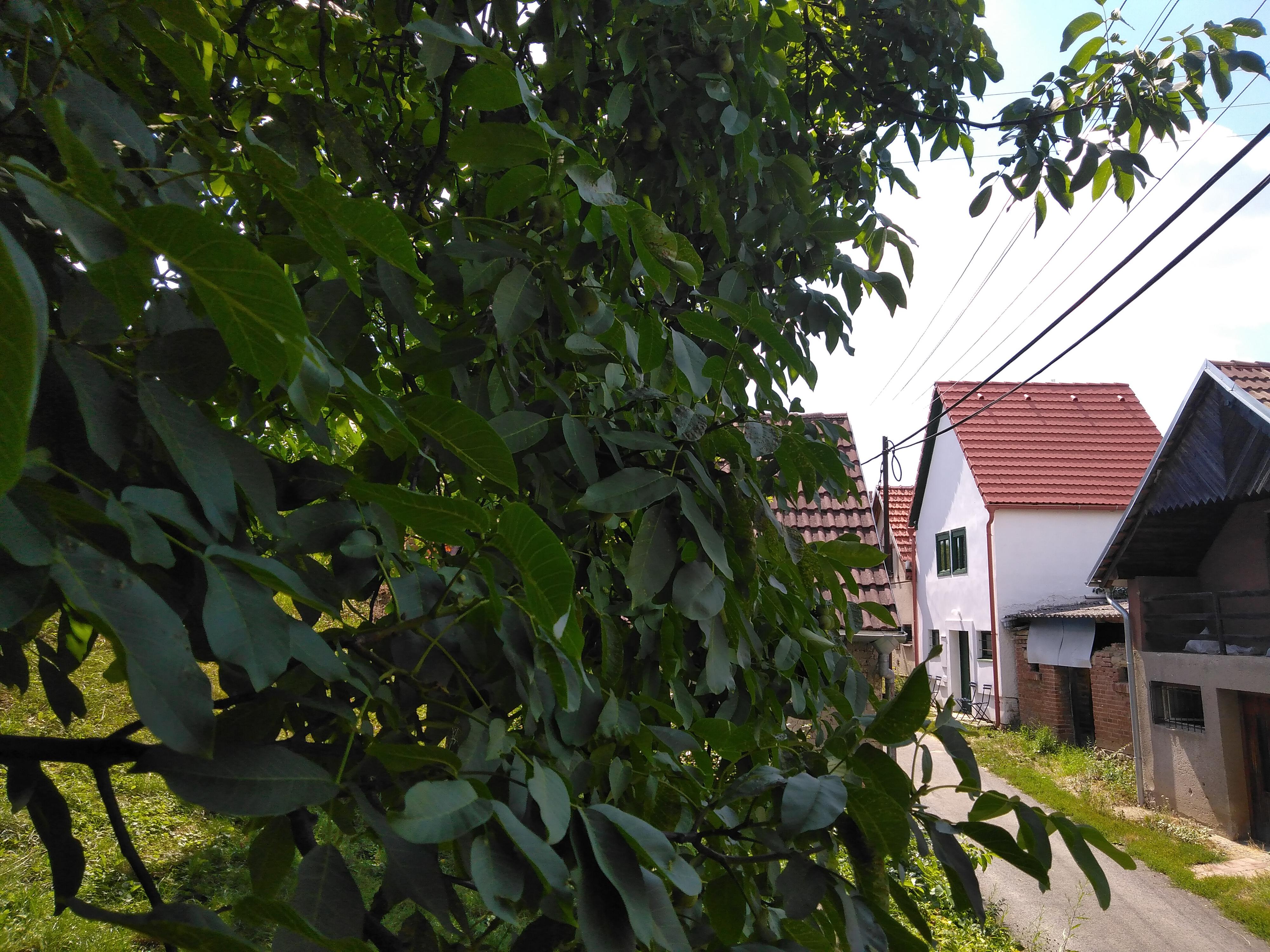 Sklípek Na Císařské foto 5