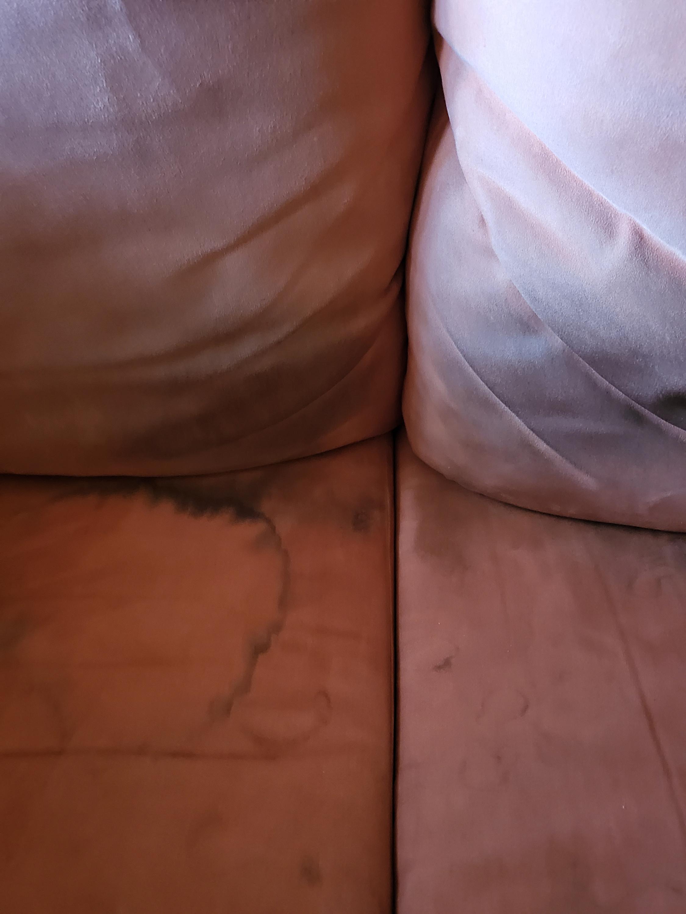 Profi čištění koberců Martina foto 4