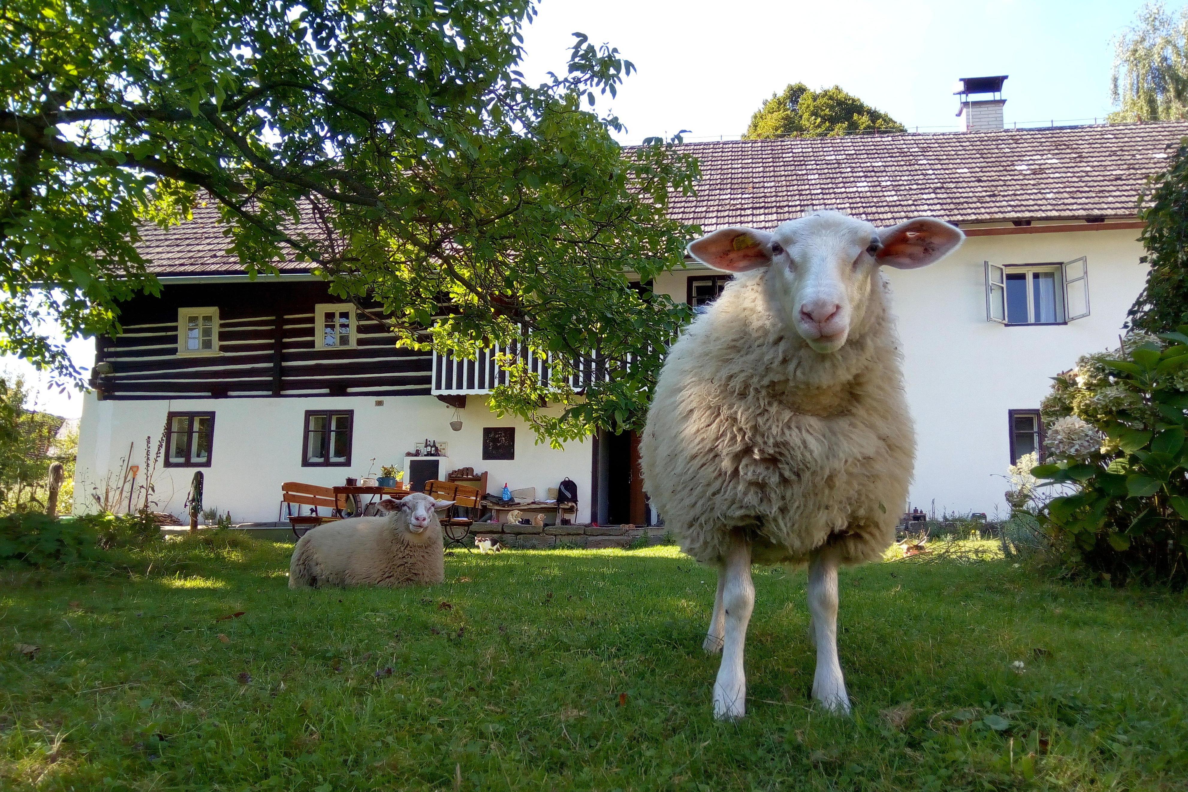 Apartmán Chalupa mezi světy
