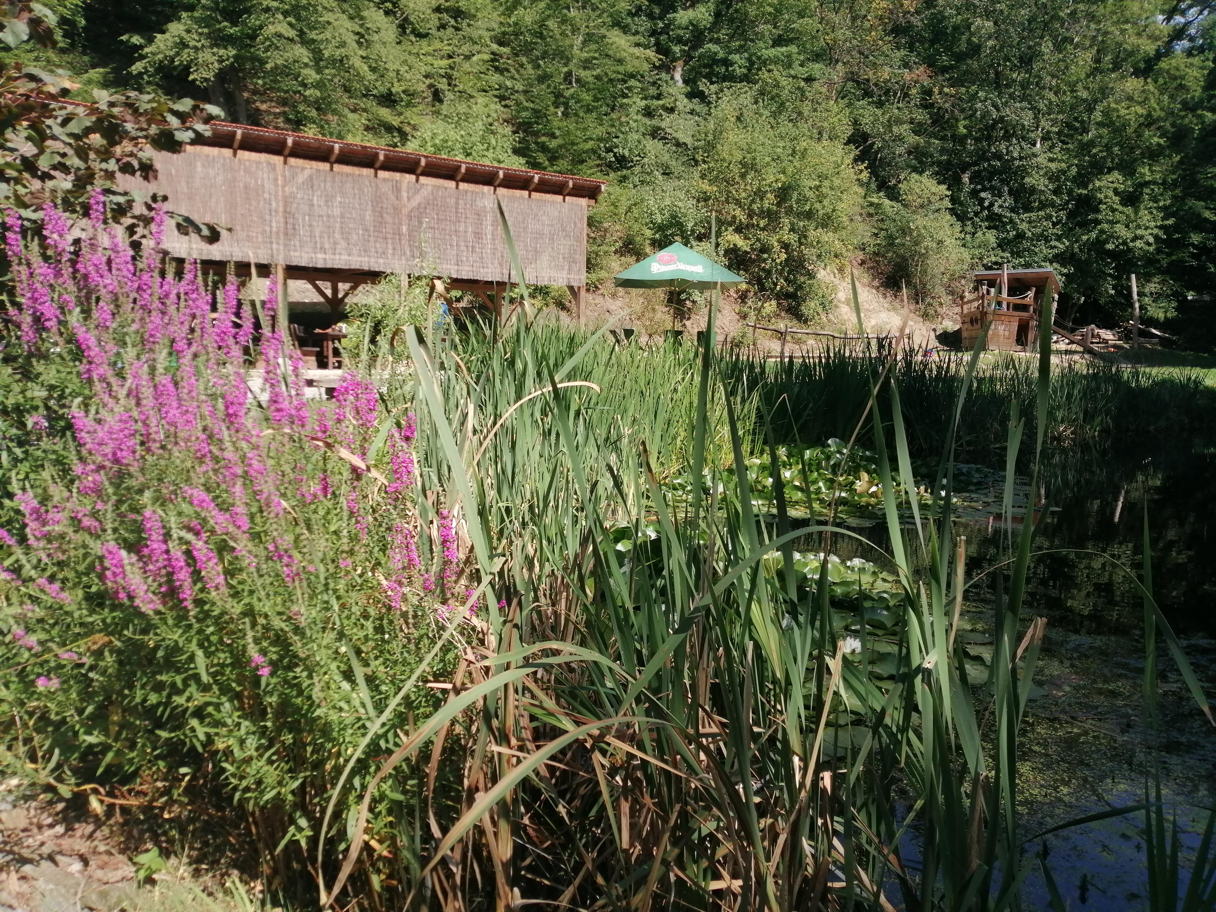Apartmány Stará Prádelna foto 2