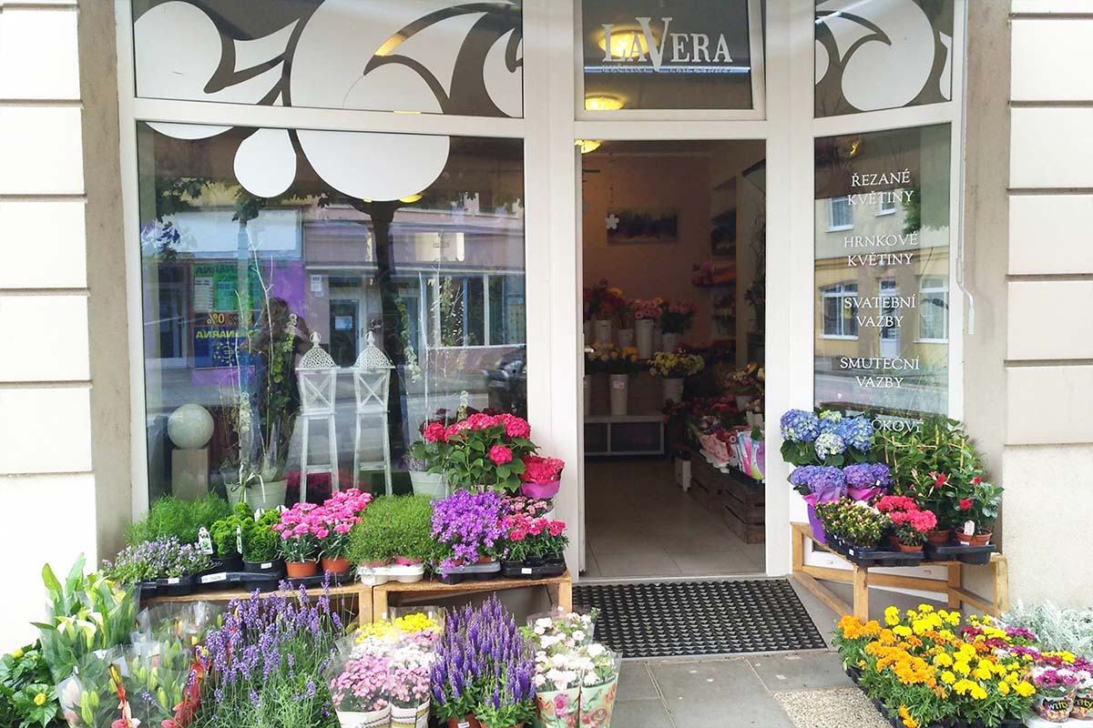 Květiny LaVera