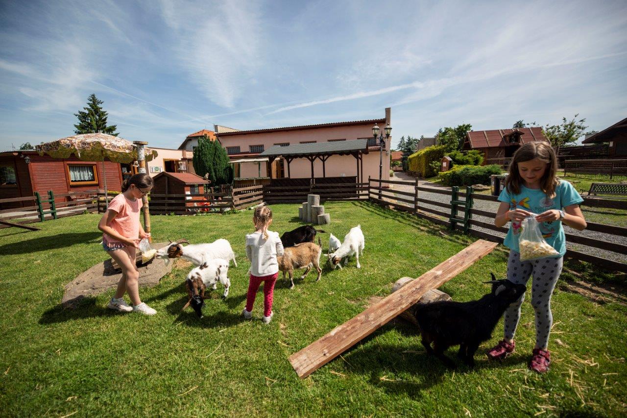 Zvířata - Svíčkárna Rodas s.r.o. foto 4