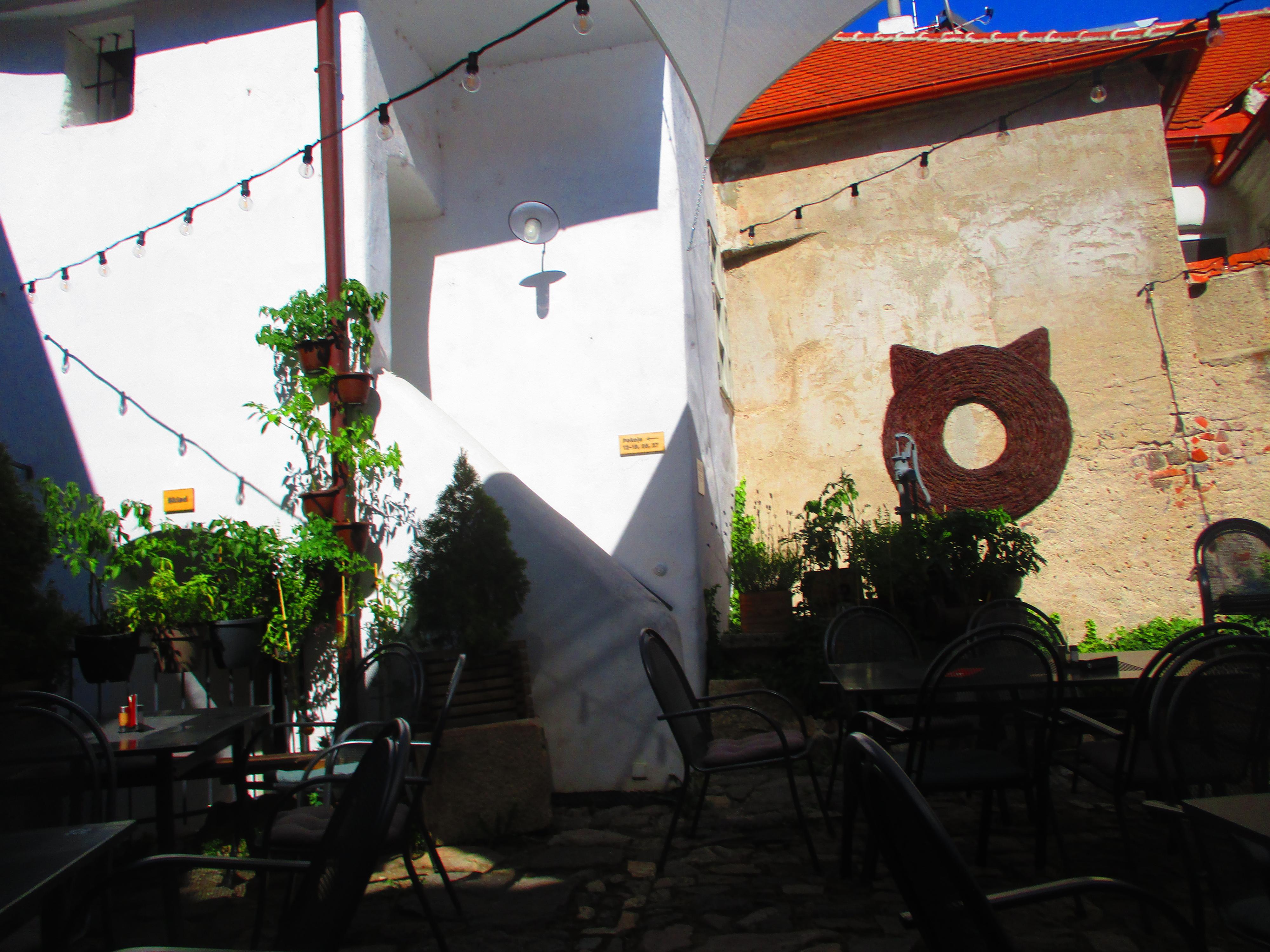 Restaurace Kocour foto 5