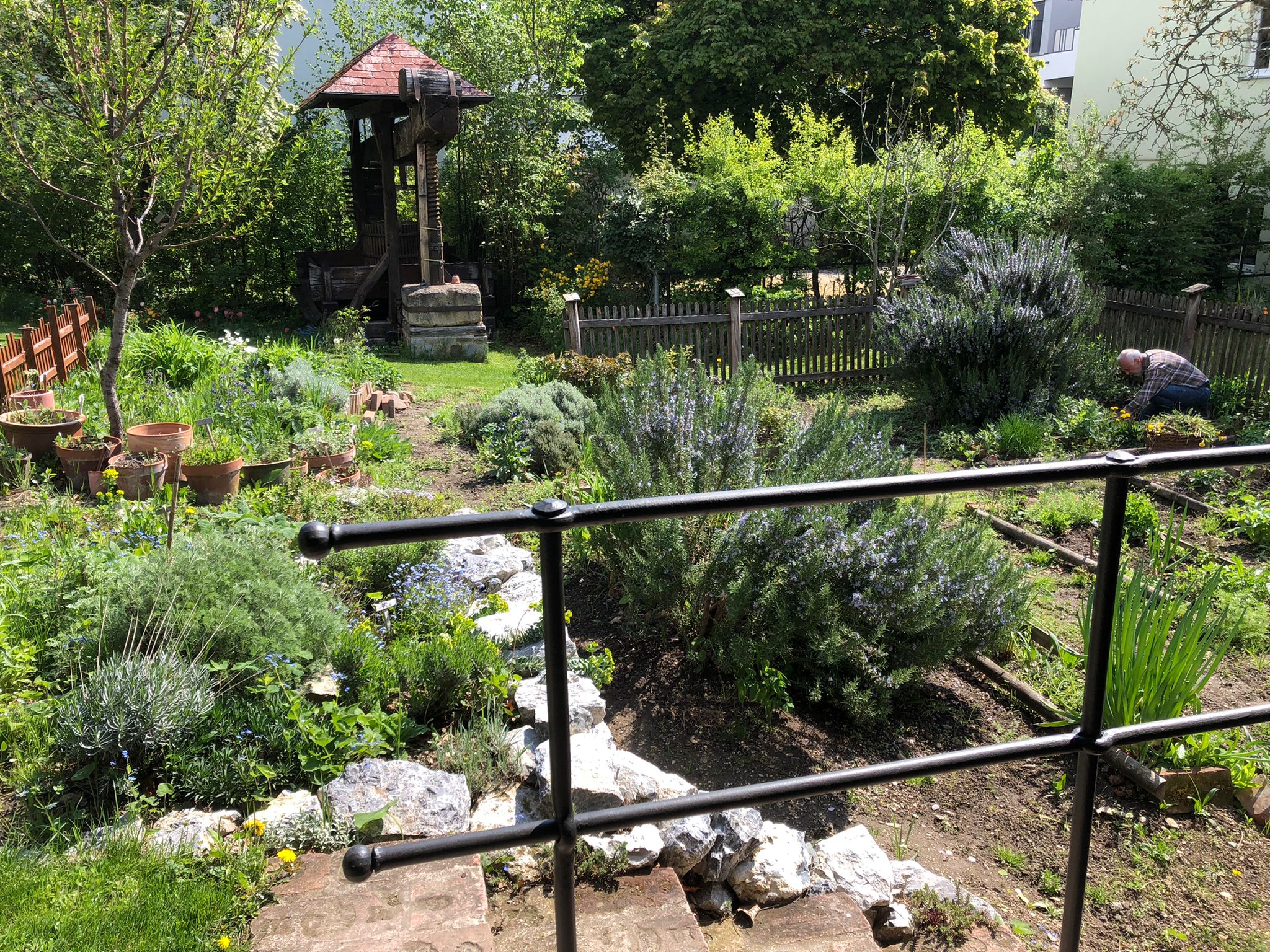 UMĚLECKÉ KOVÁŘSTVÍ Michal Jožák foto 4