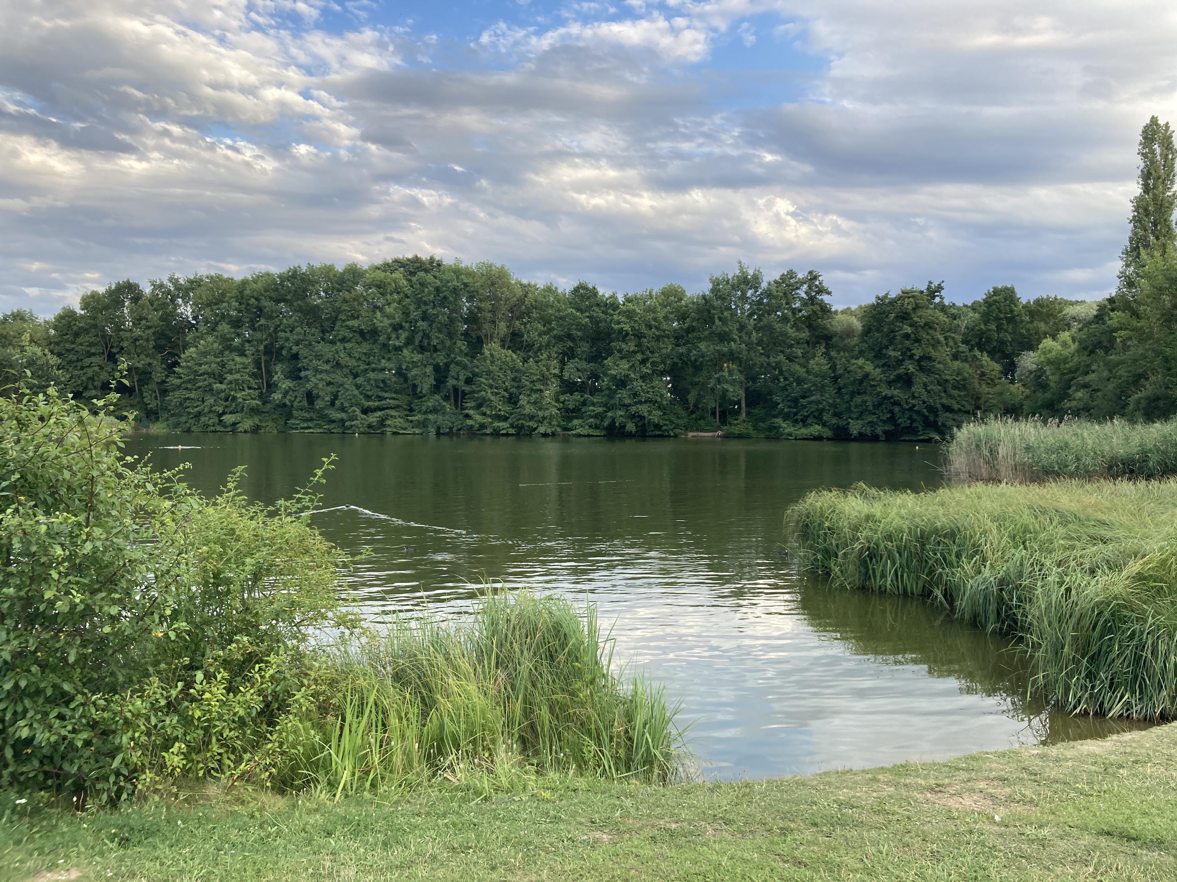 Přírodní koupaliště Motol foto 2