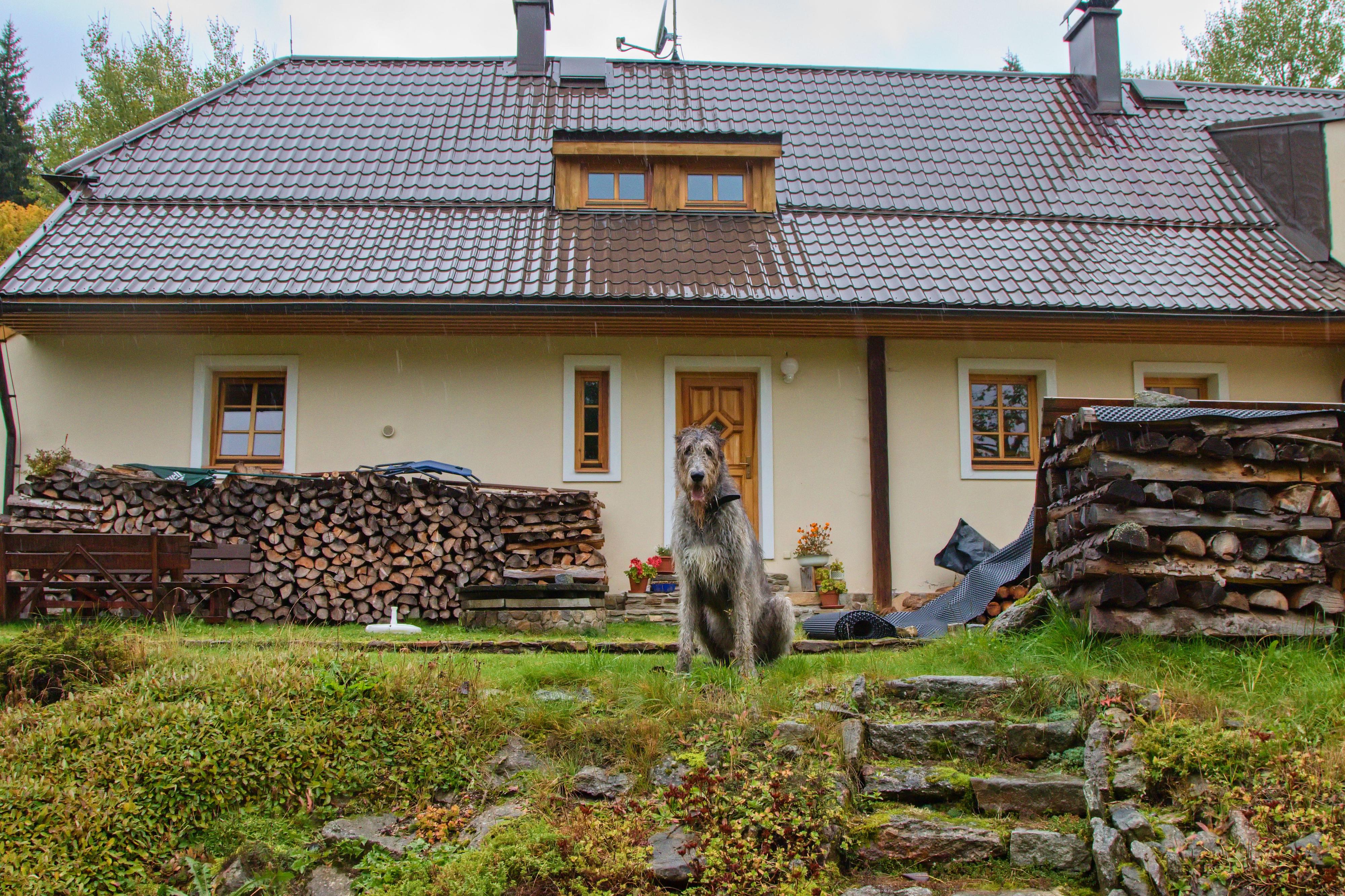 Apartmány Laka foto 5