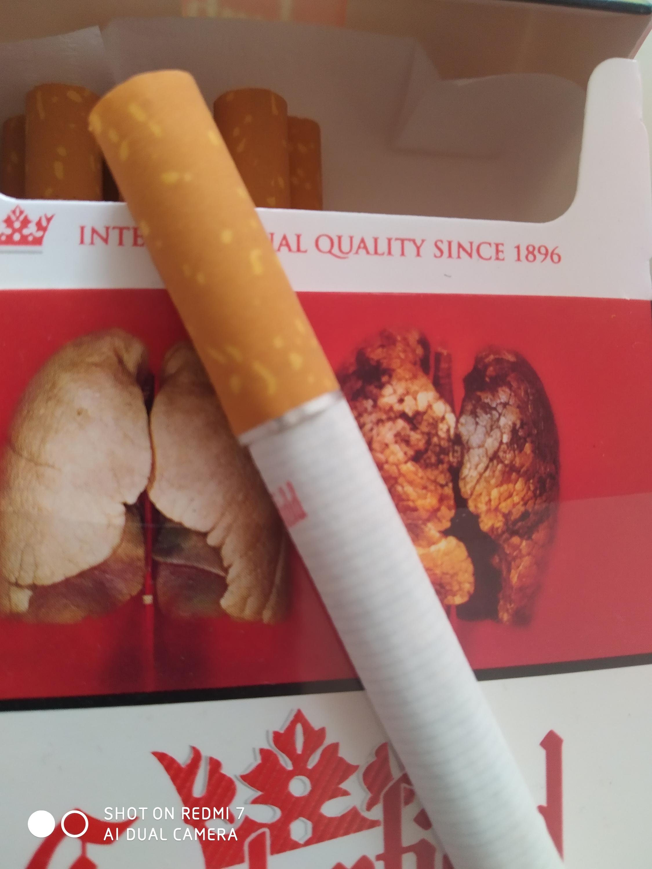 Philip Morris ČR, a.s. foto 3