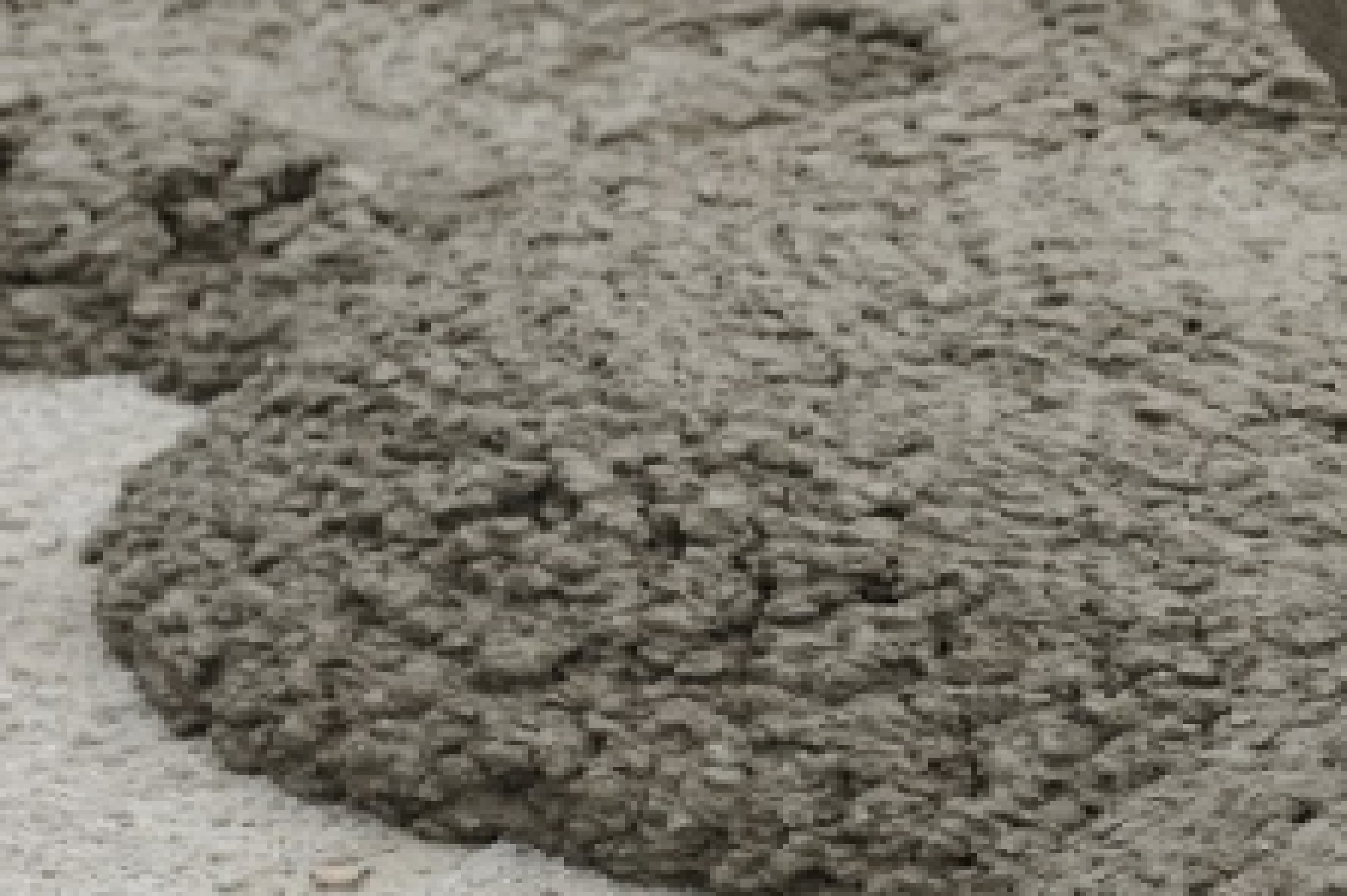 Kontemo, s.r.o. - pronájem kontejnerů a likvidace odpadu foto 6