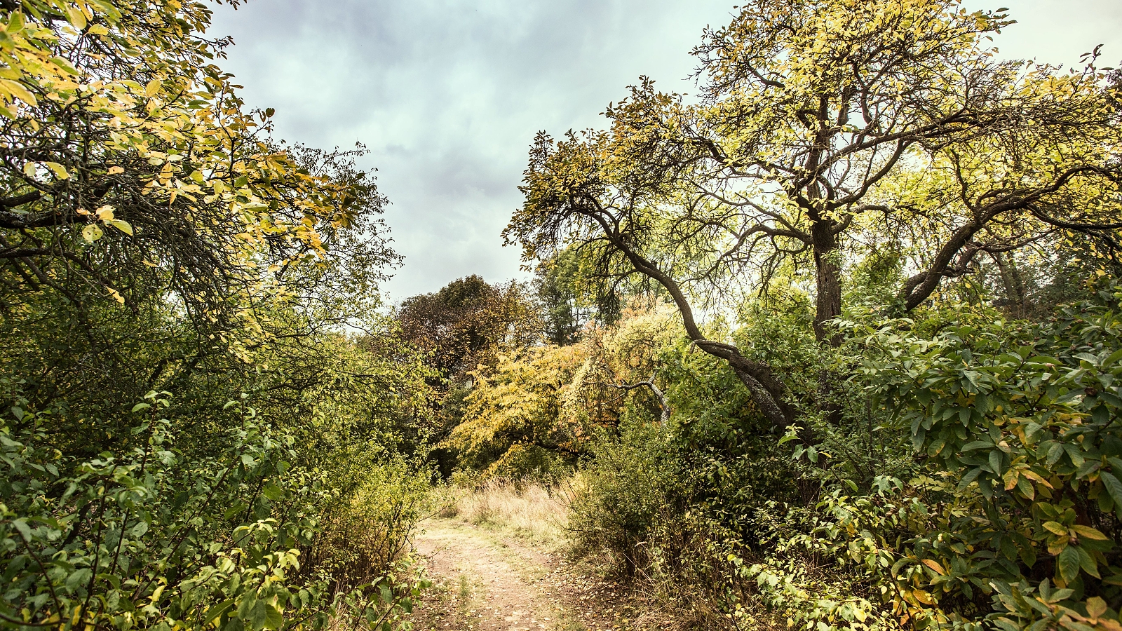 Místo v srdci - Pobyty ve tmě foto 4