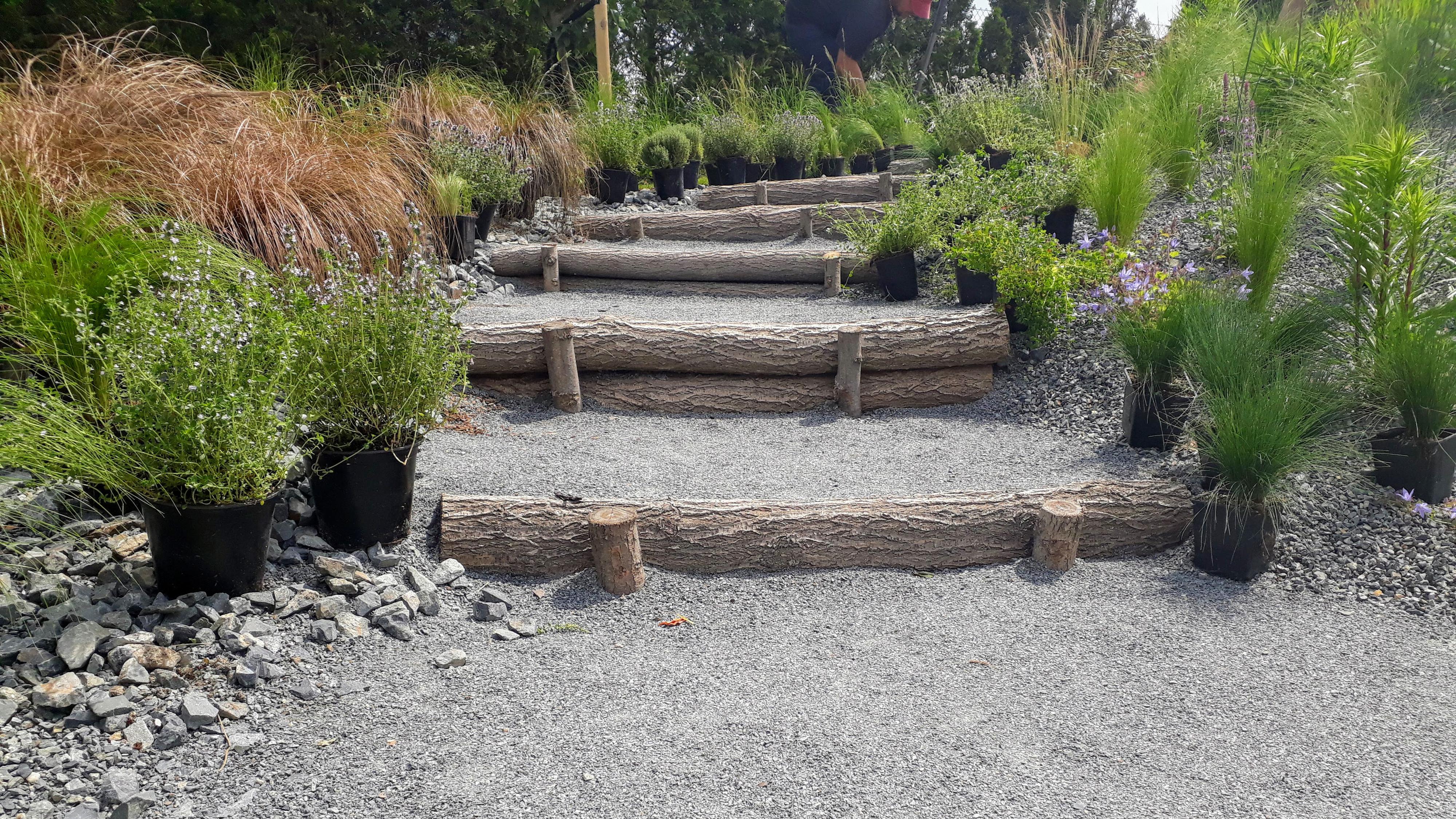 DAHLIA GROUP, s.r.o. foto 2