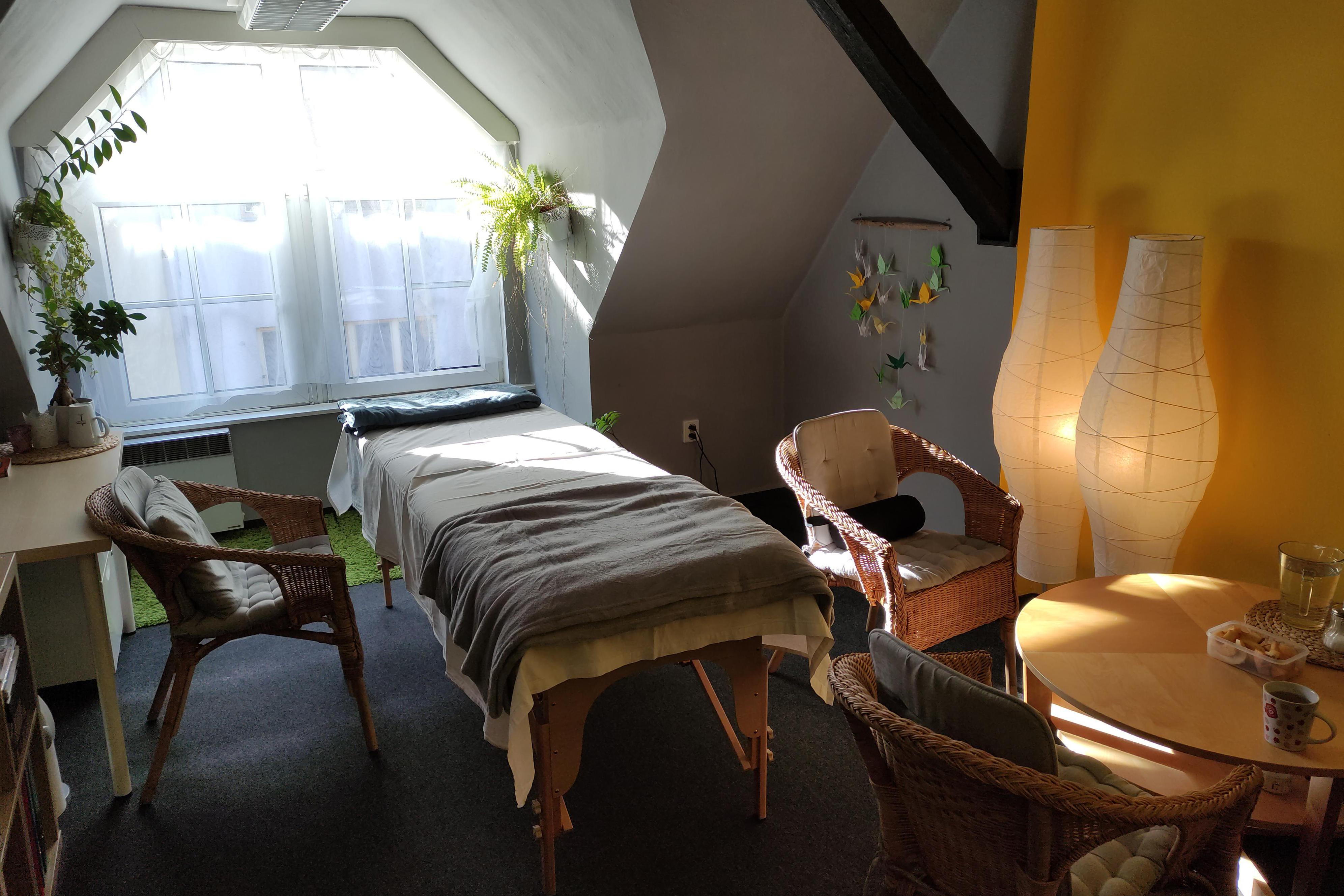 Kraniosakrální terapie - biodynamika / Martin Šperl