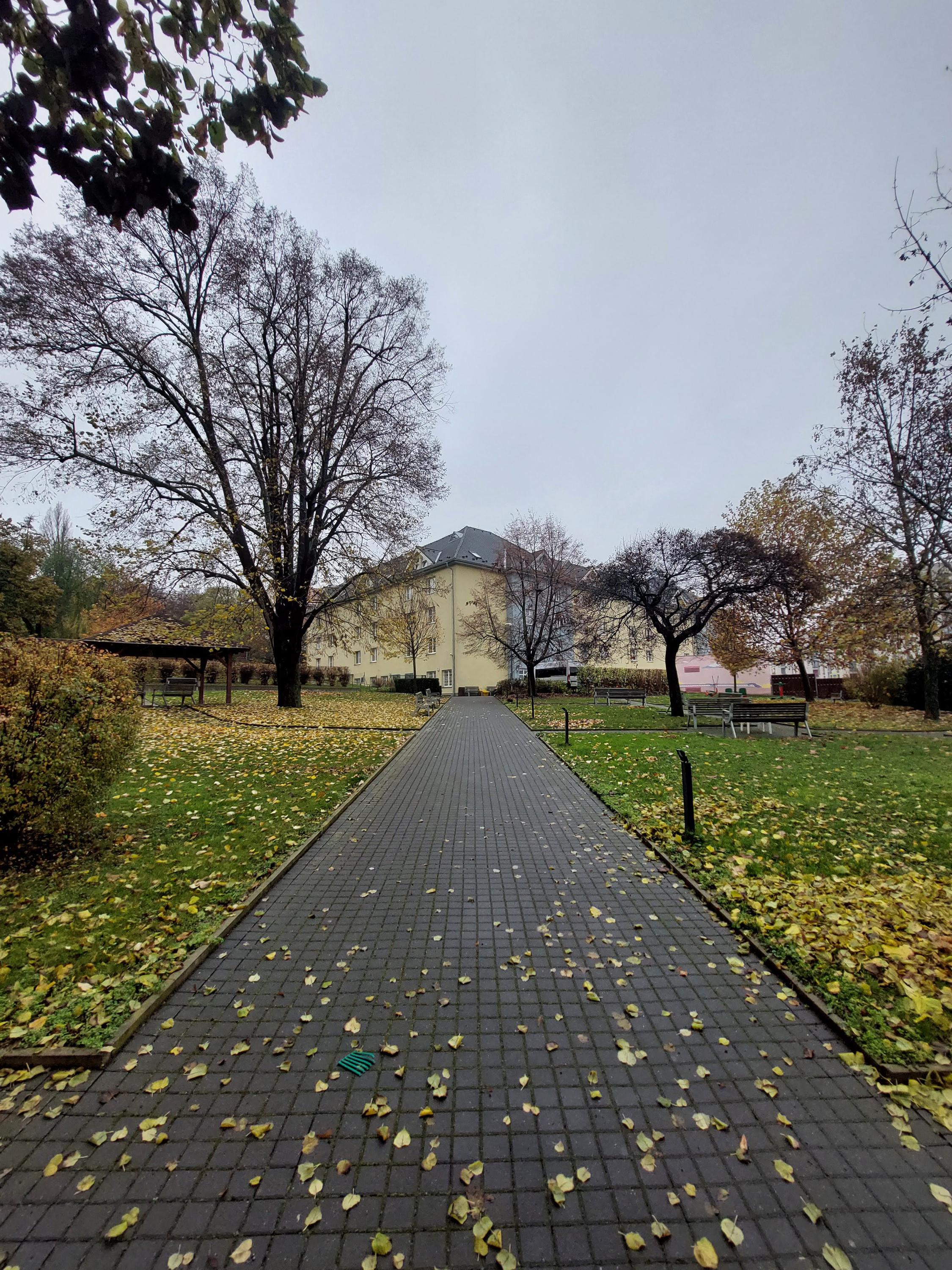 Sociální služby Praha 9, z.ú. foto 3