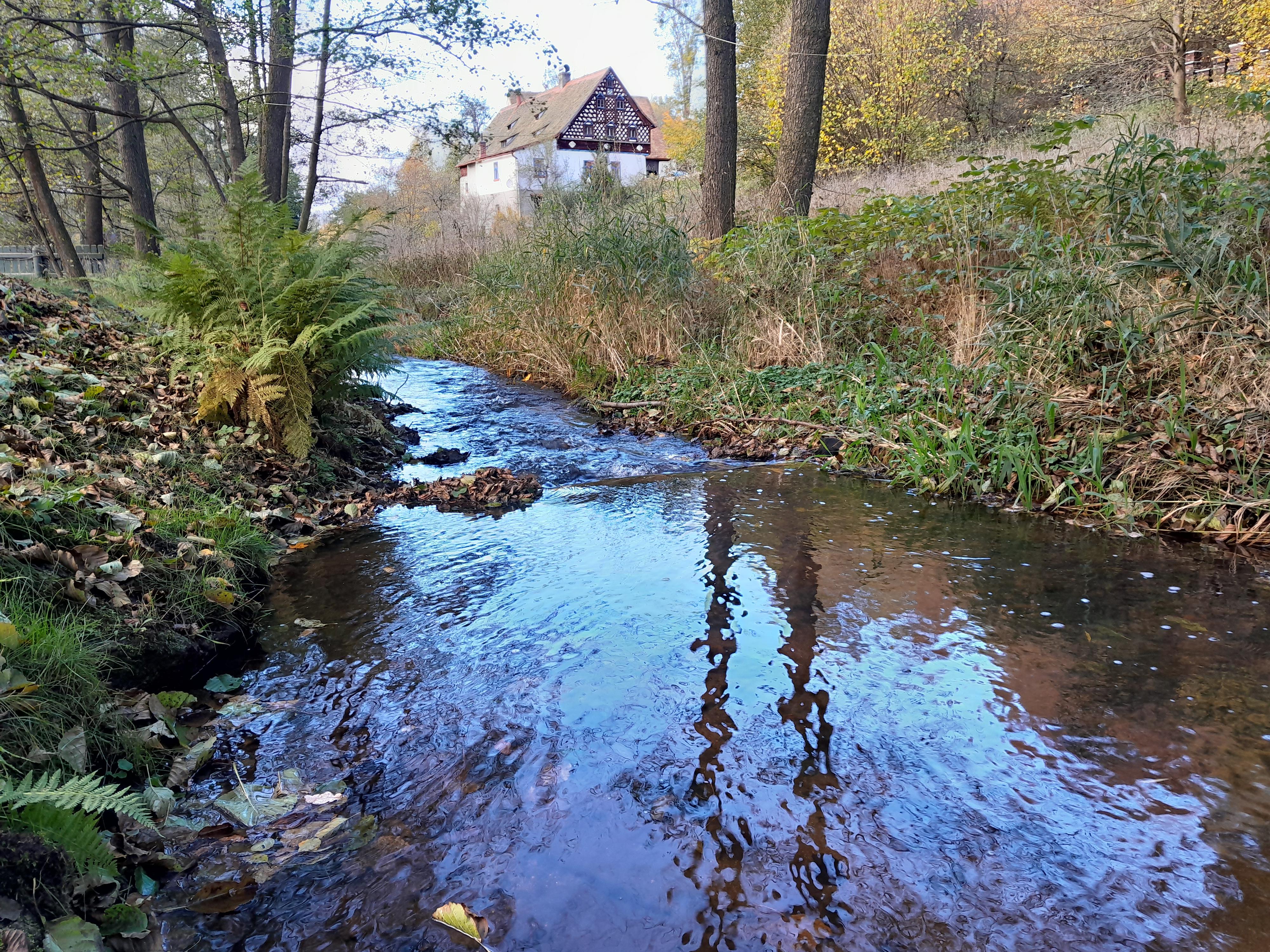 Statek Salajna foto 6