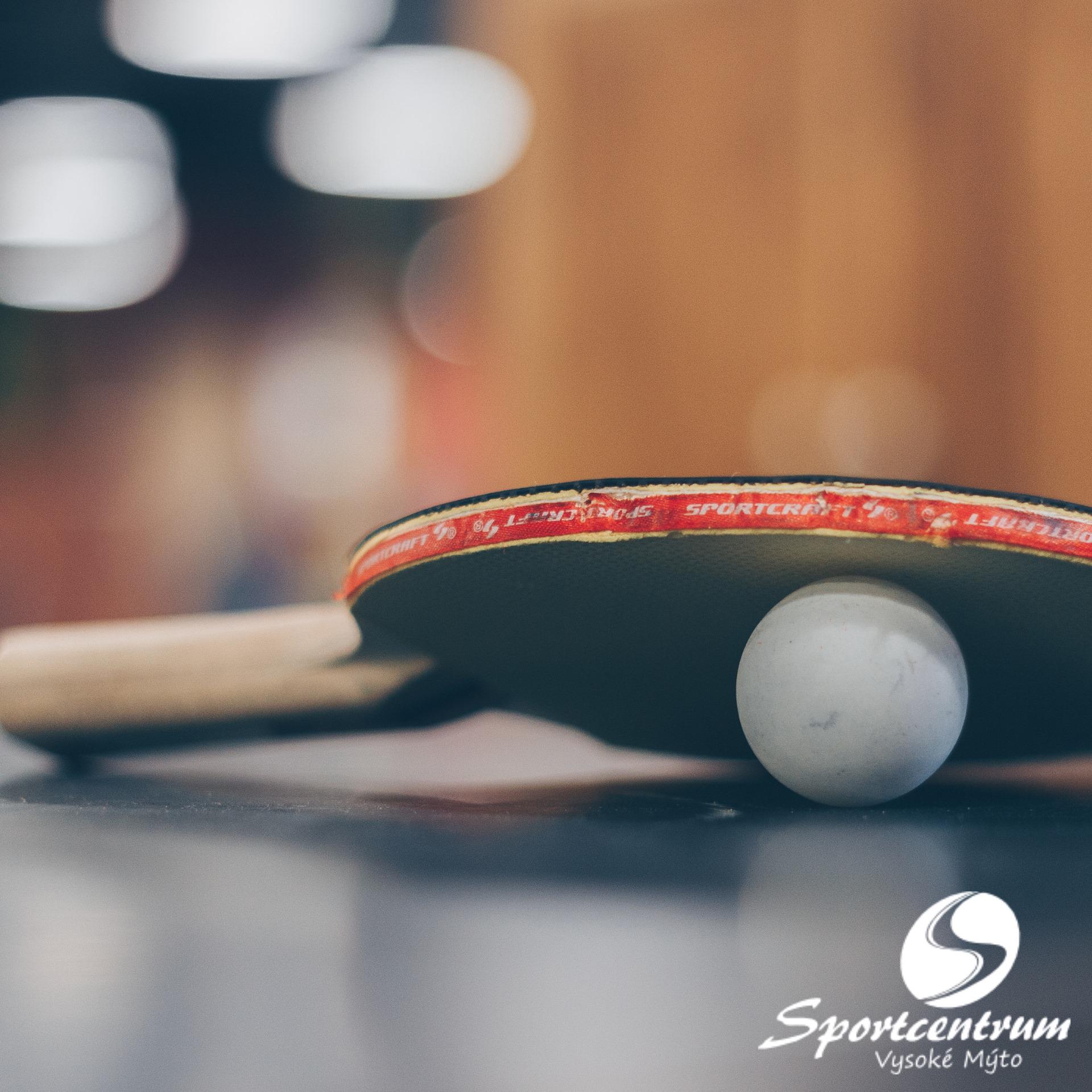 Sportcentrum Vysoké Mýto foto 2