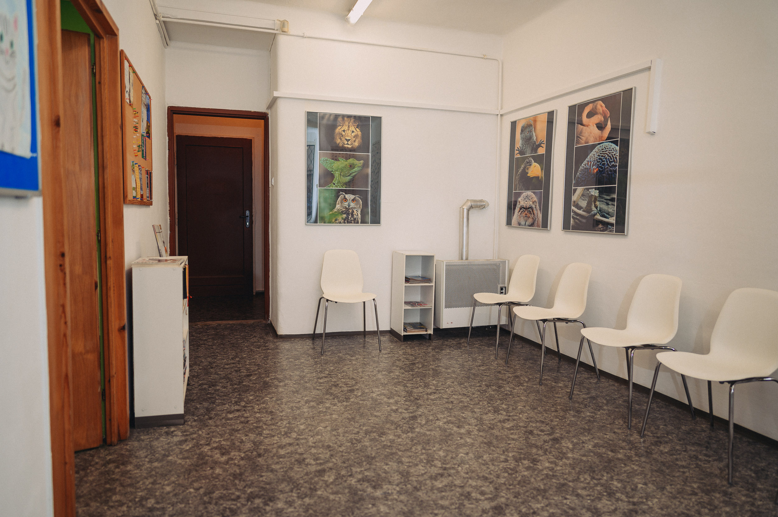 EVELVET veterinární ordinace foto 4