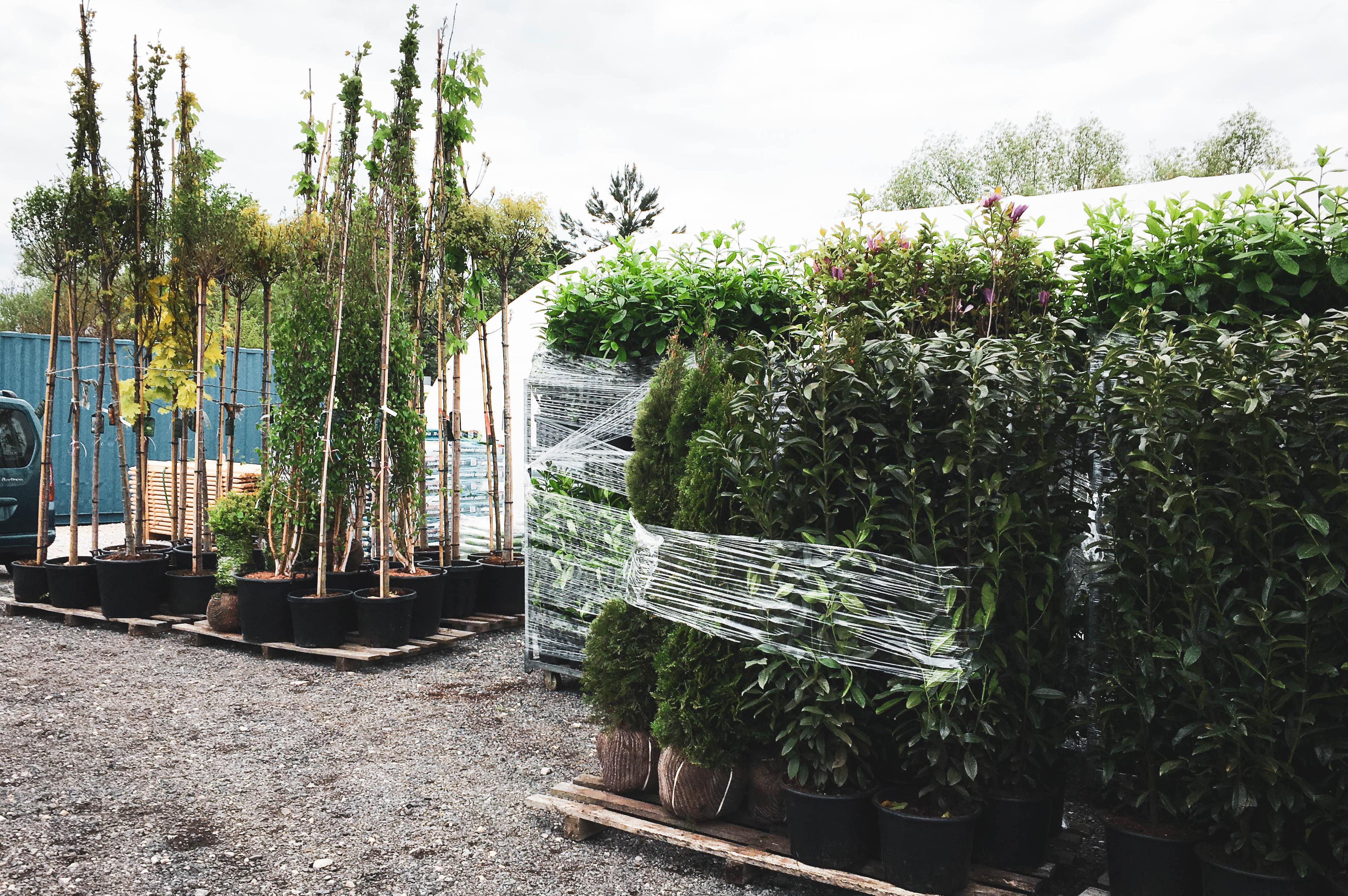 Plantservis CZ s.r.o.