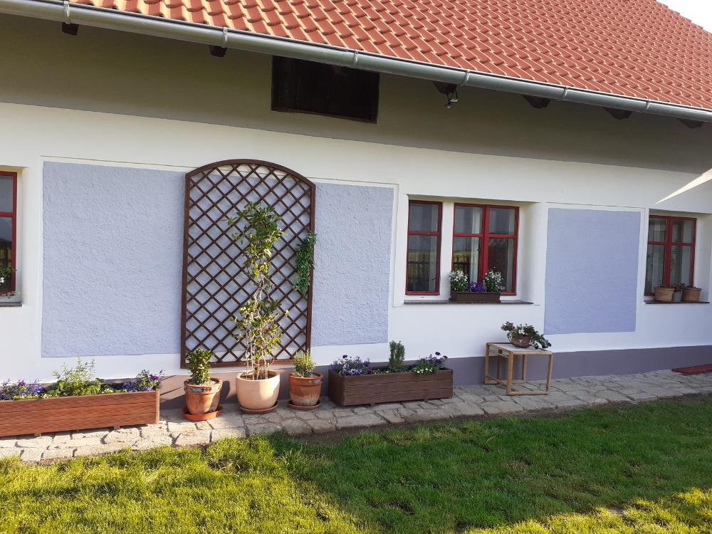 American cocker club z.s. foto 2