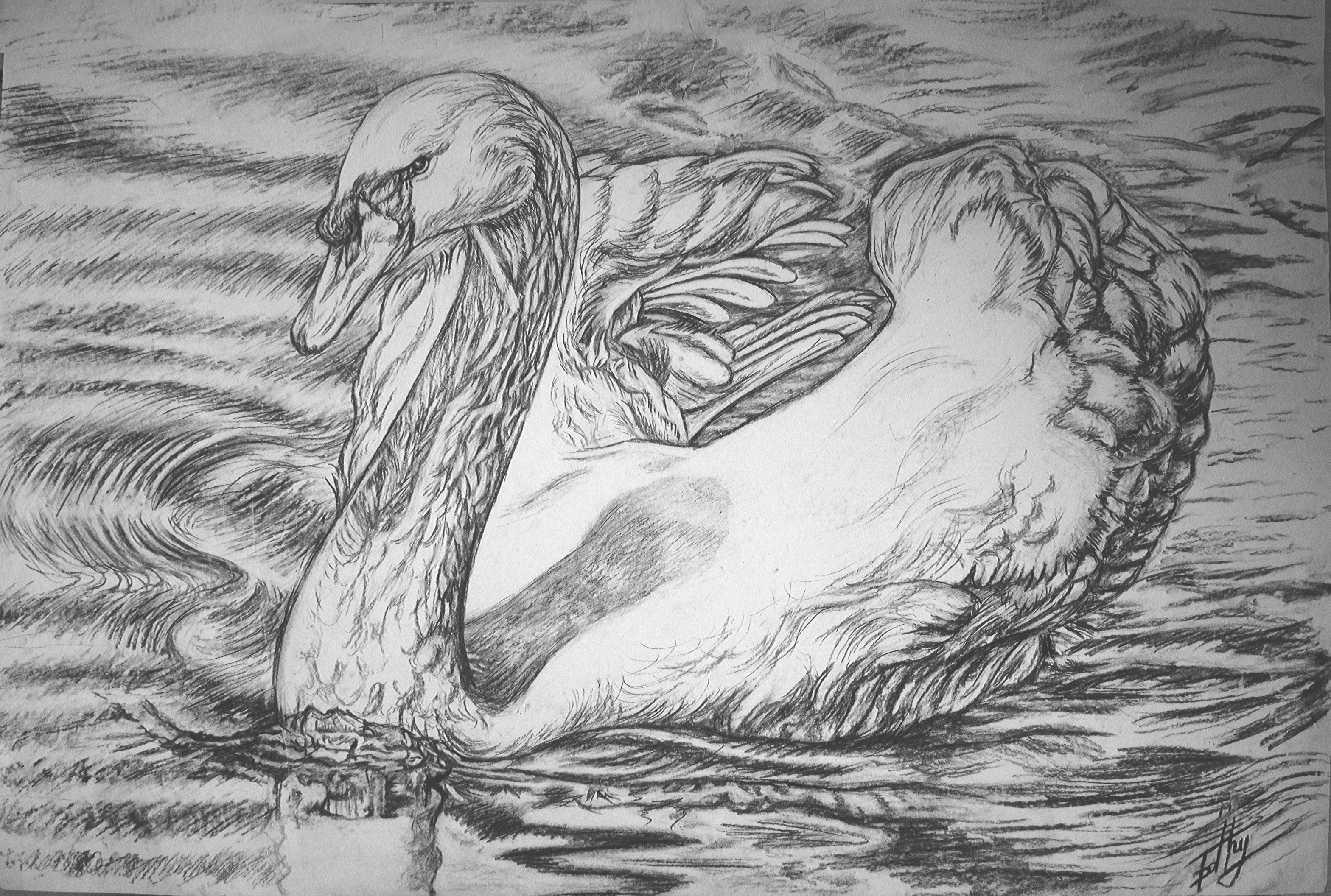 Ipaethy Art&Design foto 2