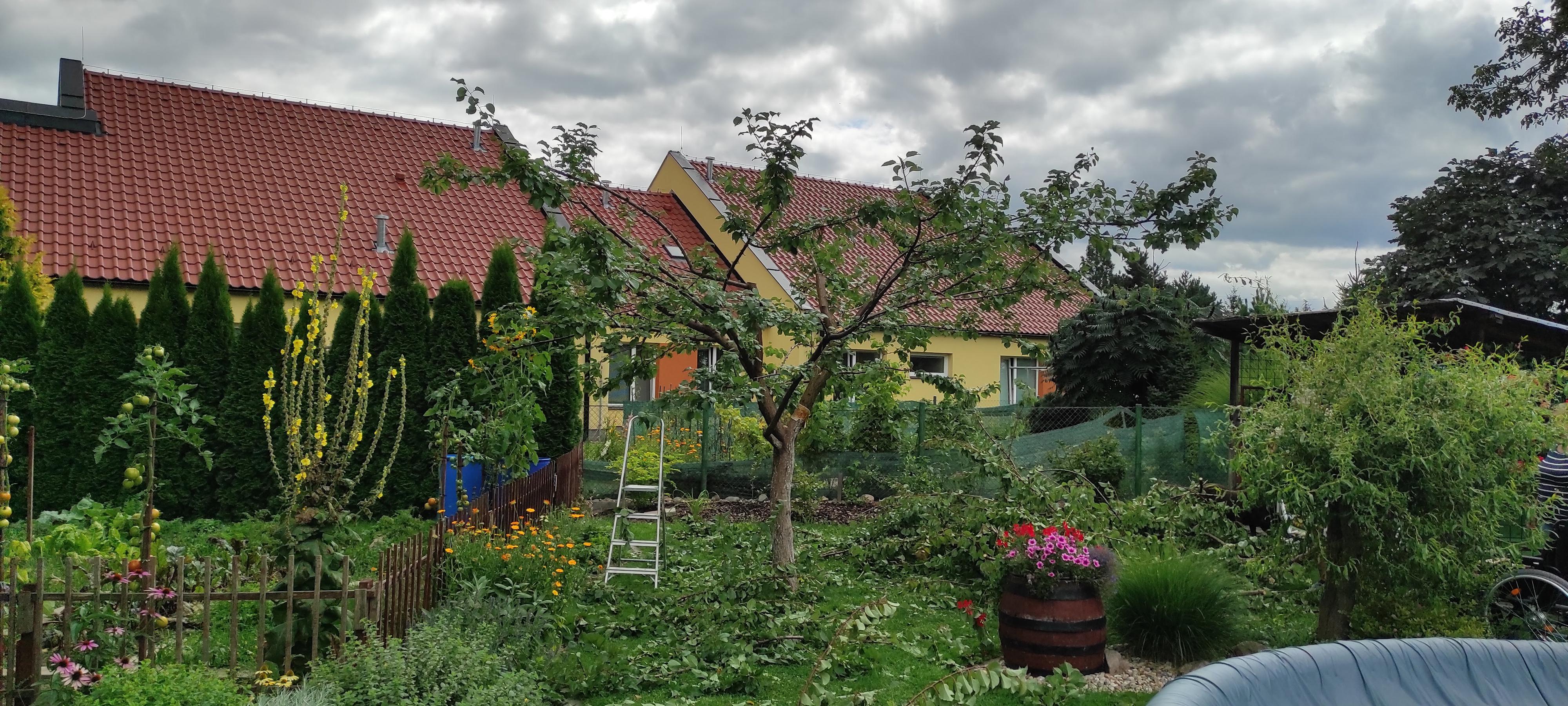 Údržba porostu – Radim Zajíček foto 4