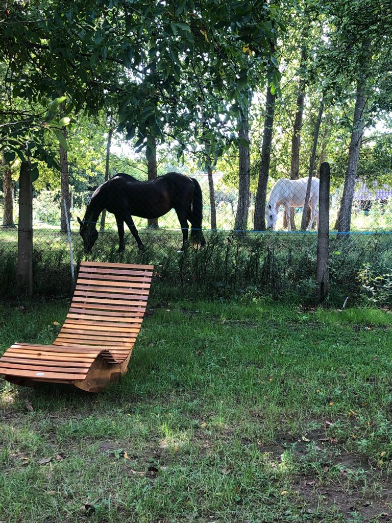 Lavečka u Valtic foto 2