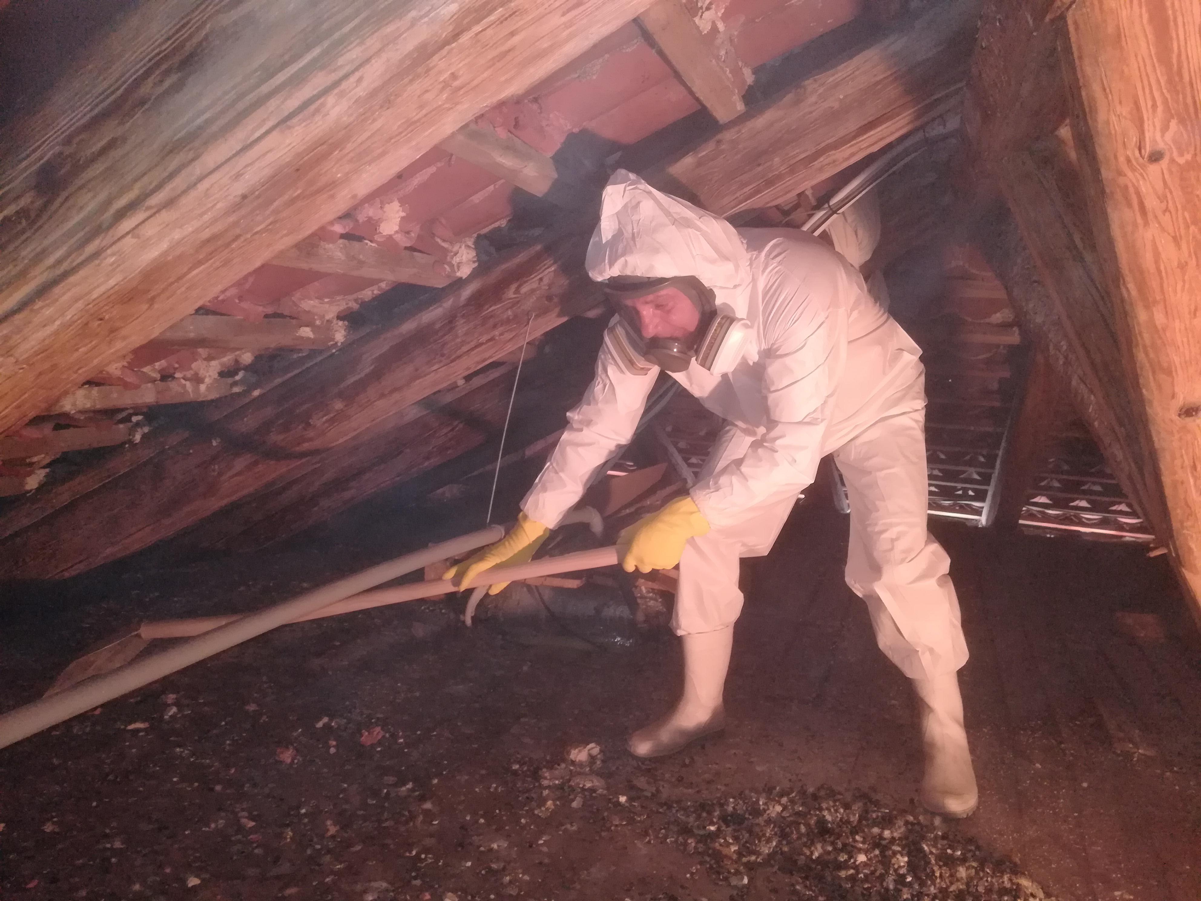 Daniel Gaňo - Vyklízení a dezinfekce bytu po zemřelém foto 4