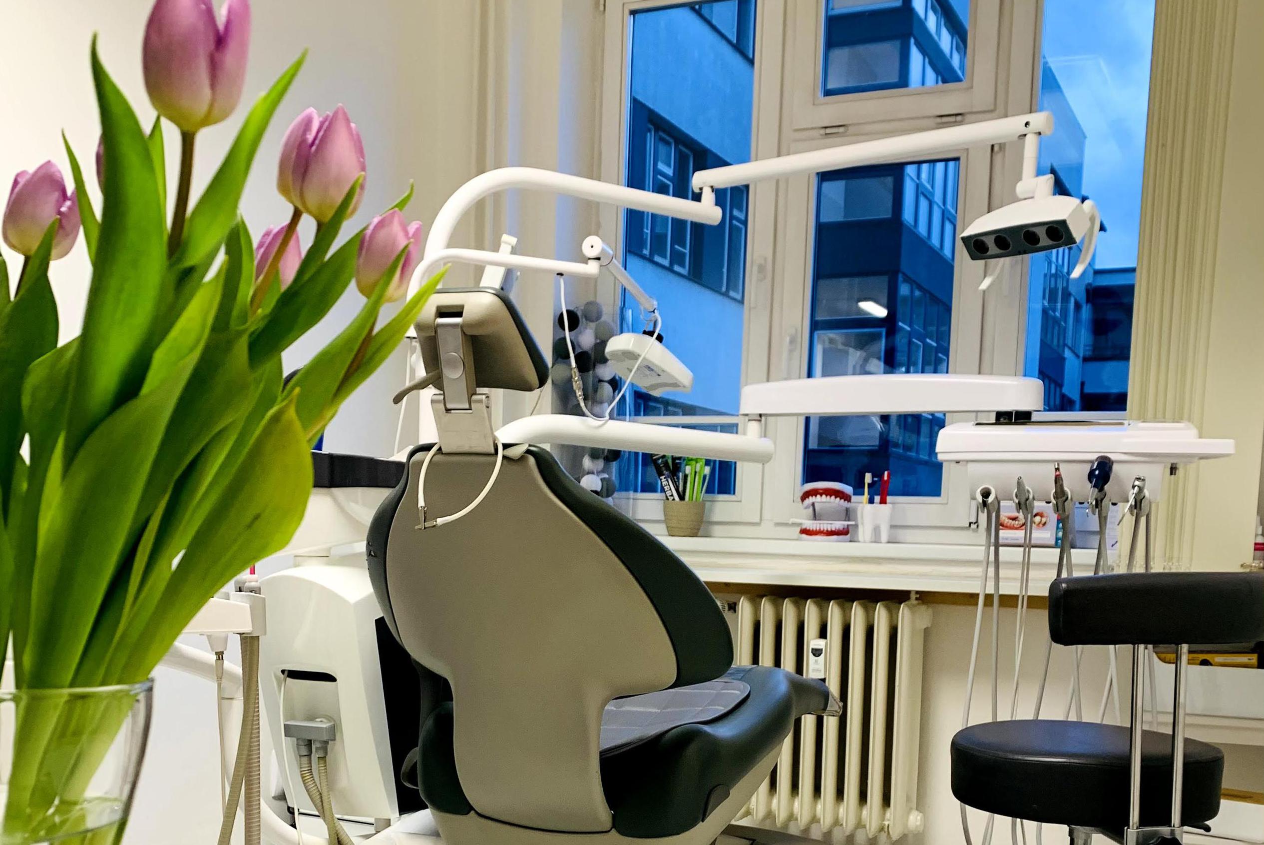 Helena Čermáková, DiS. - Angel Dent