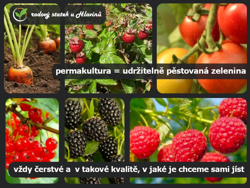 Rodový statek u Hlavínů foto 2