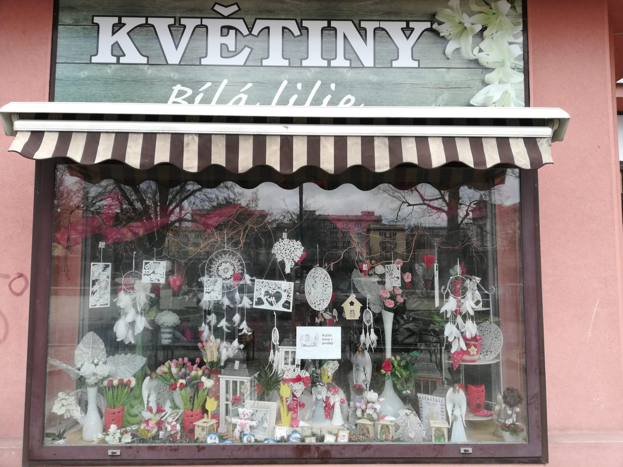 Květiny Bílá Lilie foto 4