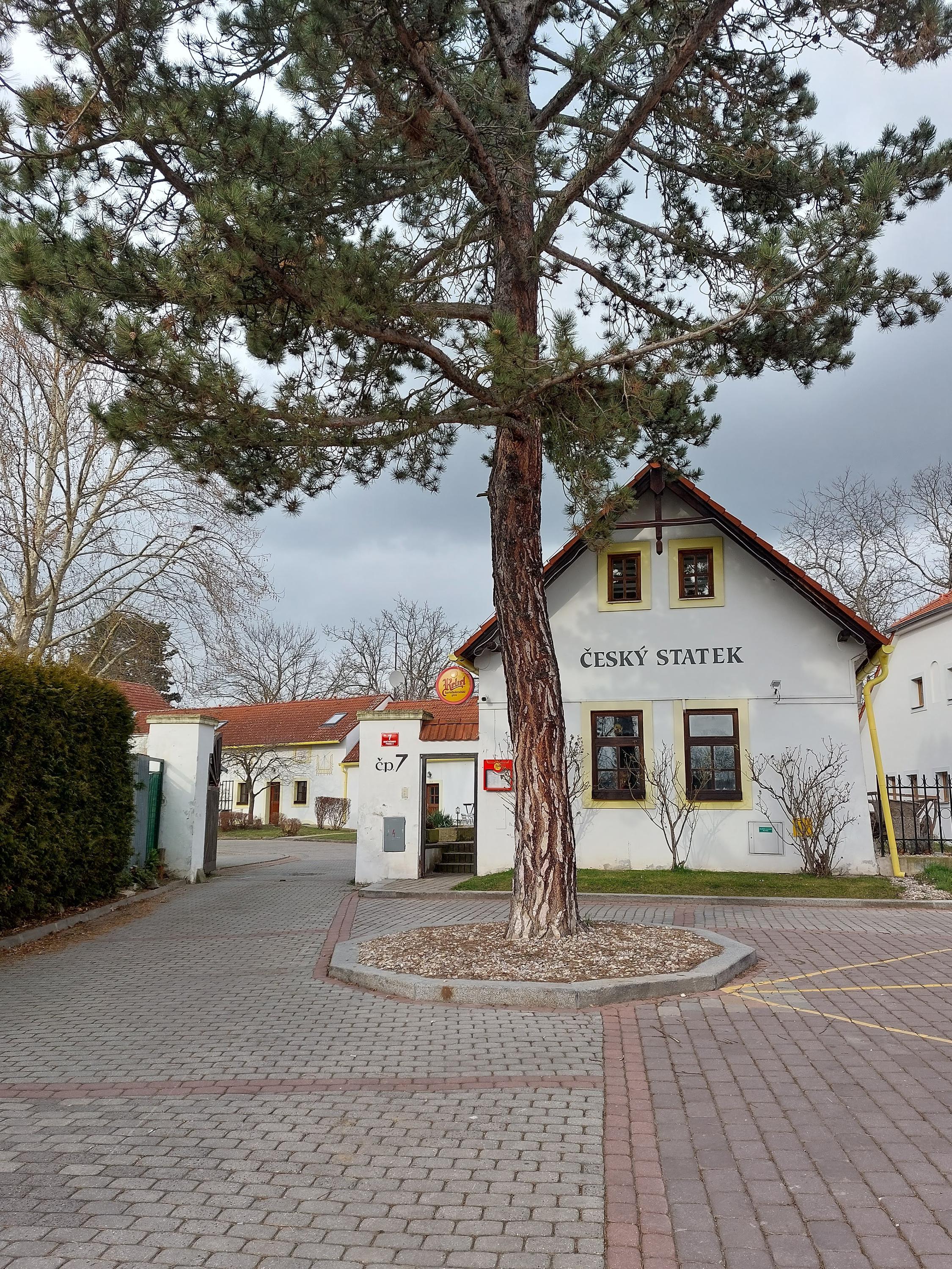 ČESKÝ STATEK - penzion foto 6