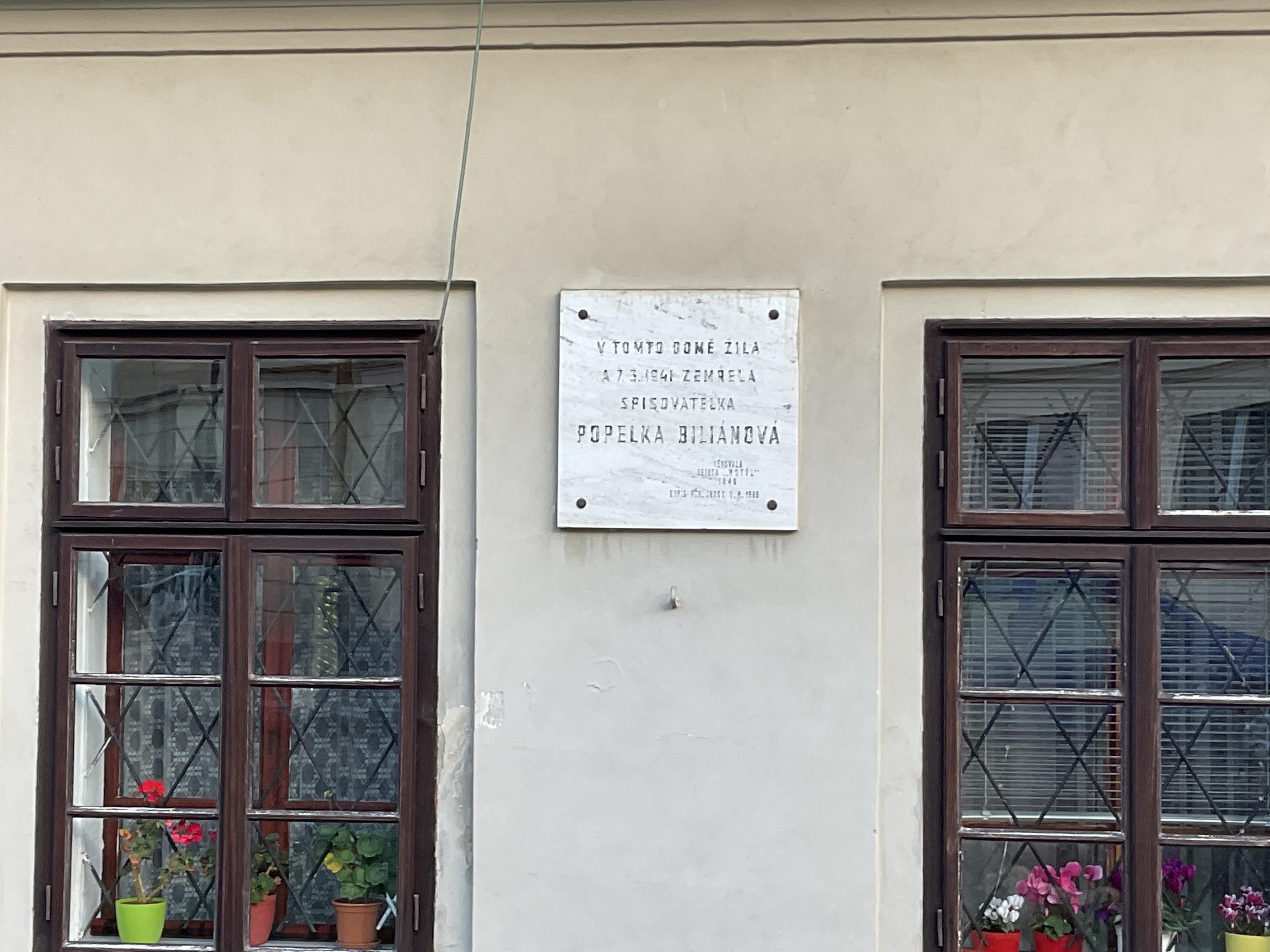 Jedličkův ústav, MŠ, ZŠ a Střední škola - domov mládeže foto 3