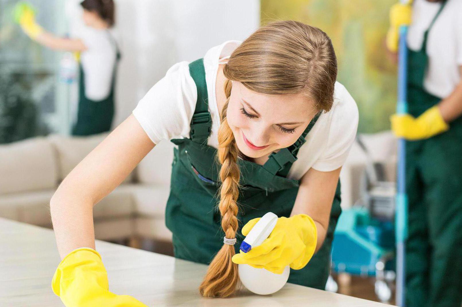 Úklidové služby Emilie Mezeiová foto 1