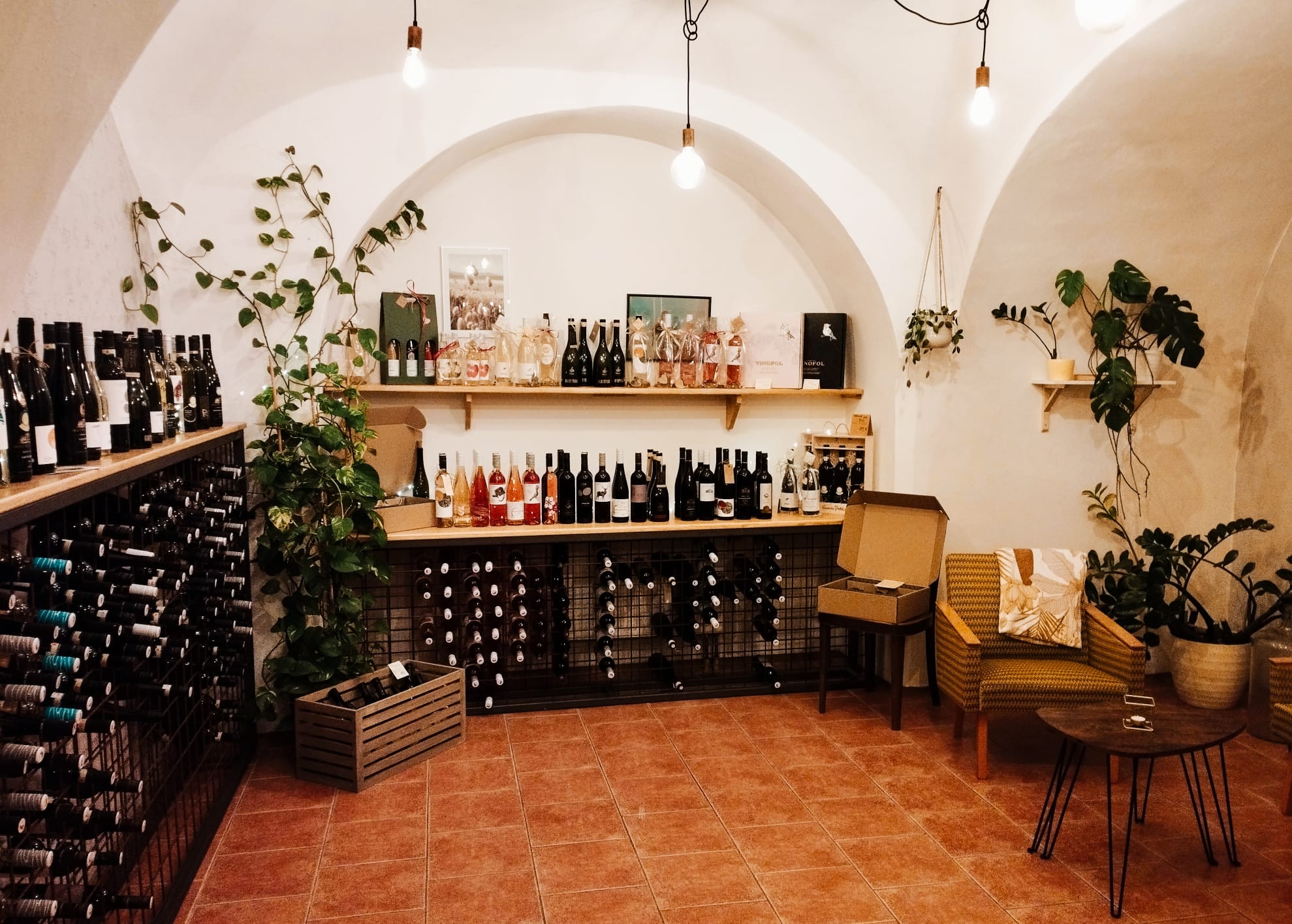 Vinotéka - Víno Koryťák foto 3
