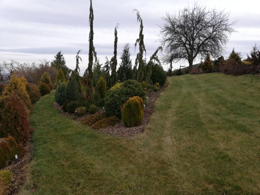 ARBORETUM VŠENORY foto 6