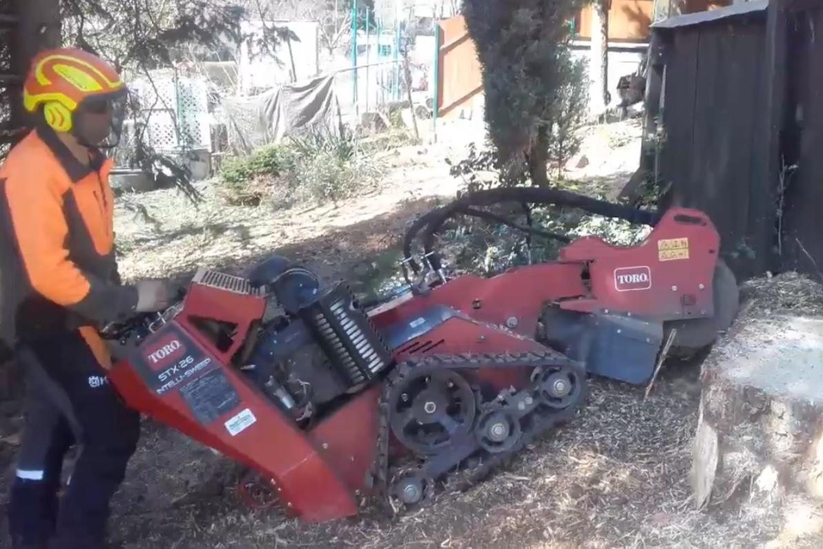 Překáží Vám pařez? Pro nás je to hračka