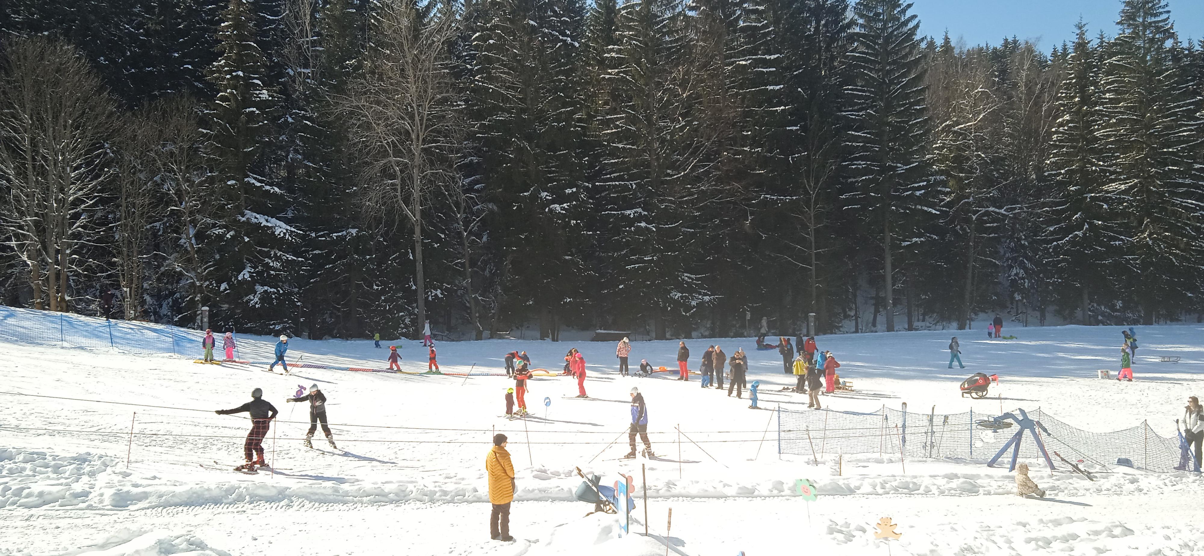 My Ski School foto 6