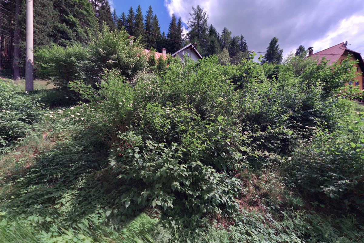 Prázdninový dům Nové Hamry