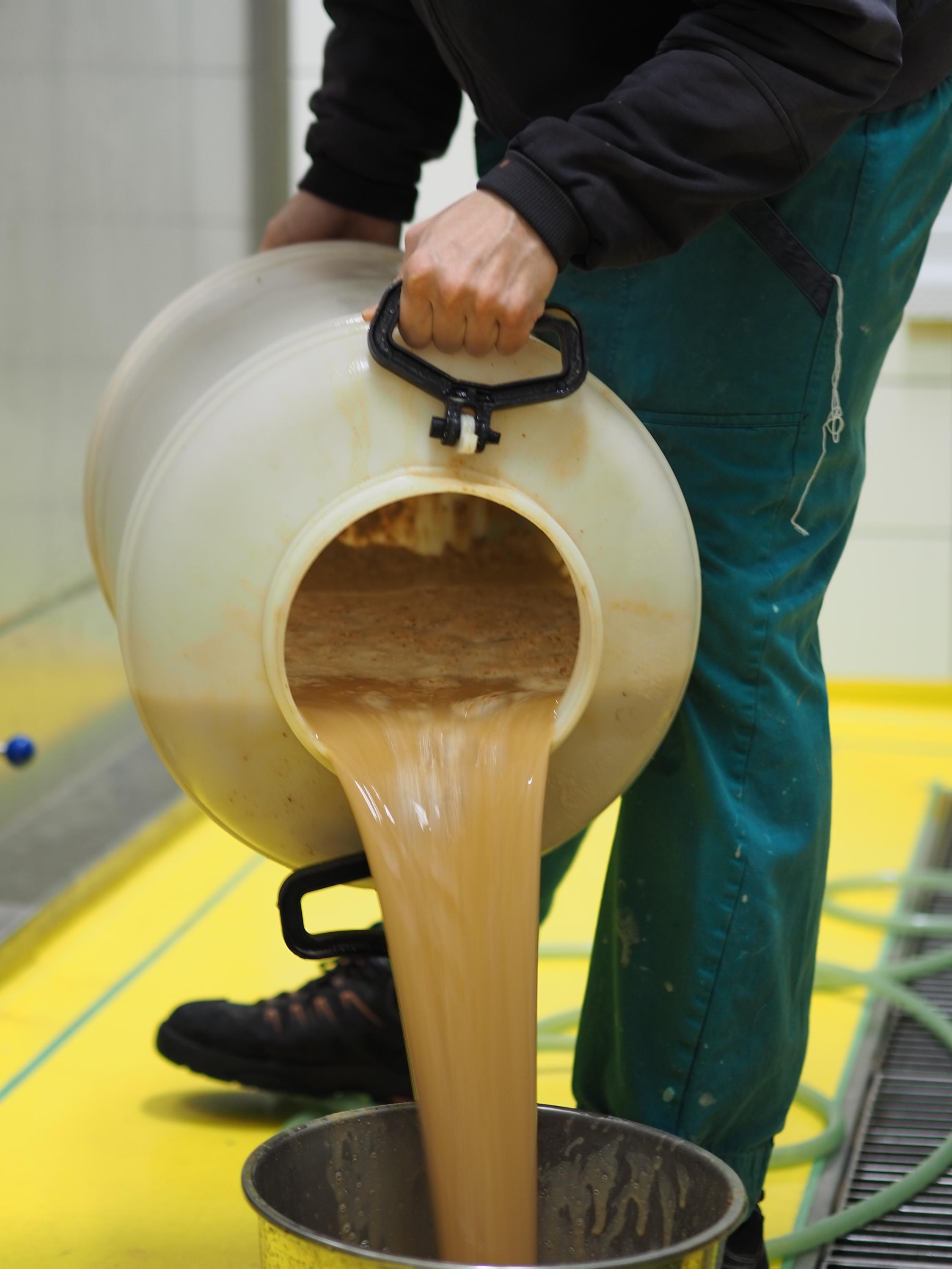 Létající sládci foto 3