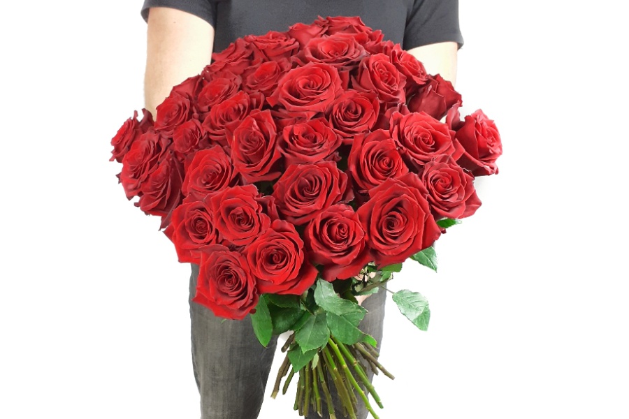 Červené růže EKVÁDOR, délka 70 cm