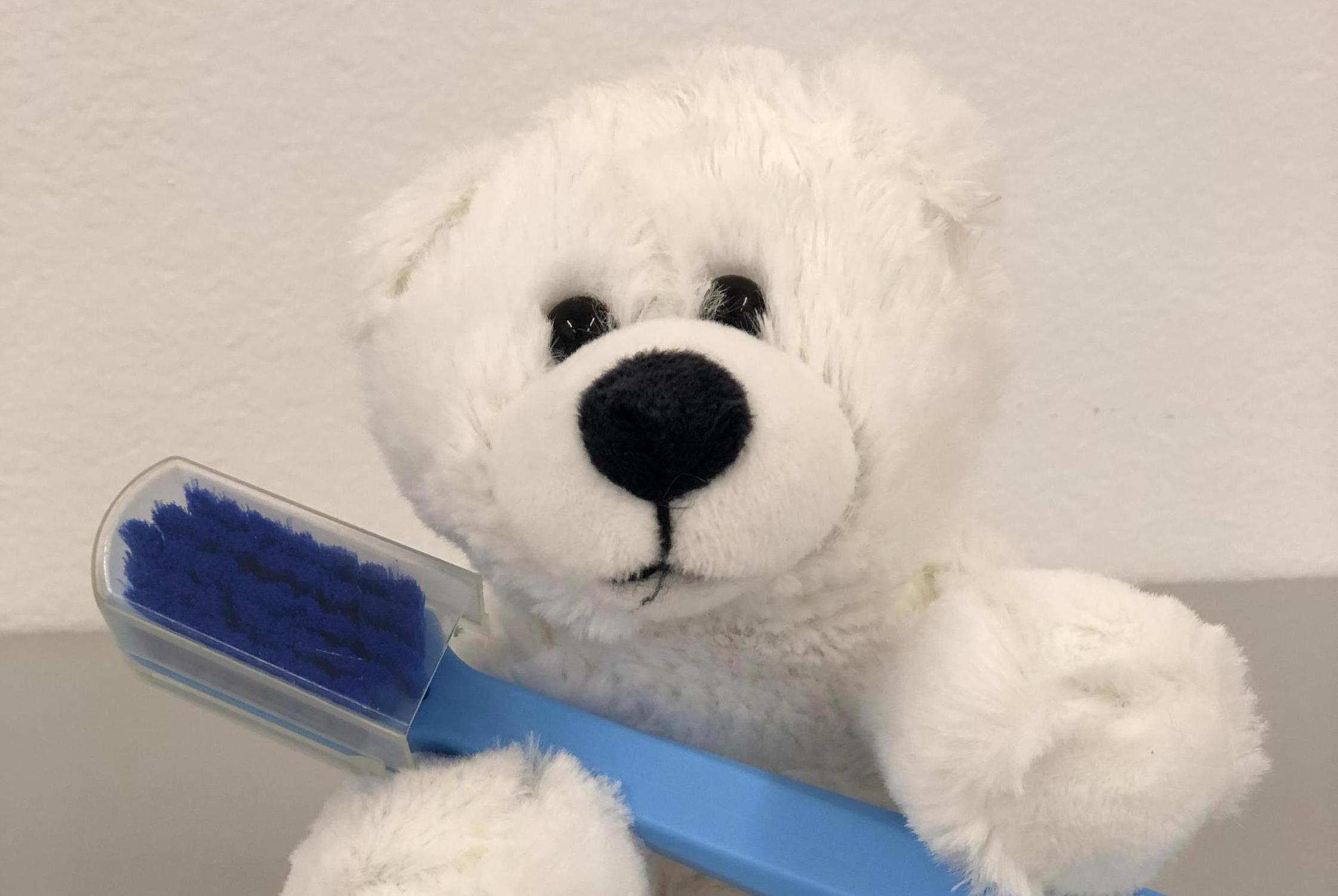 Dentální hygiena Šárka Kolářová