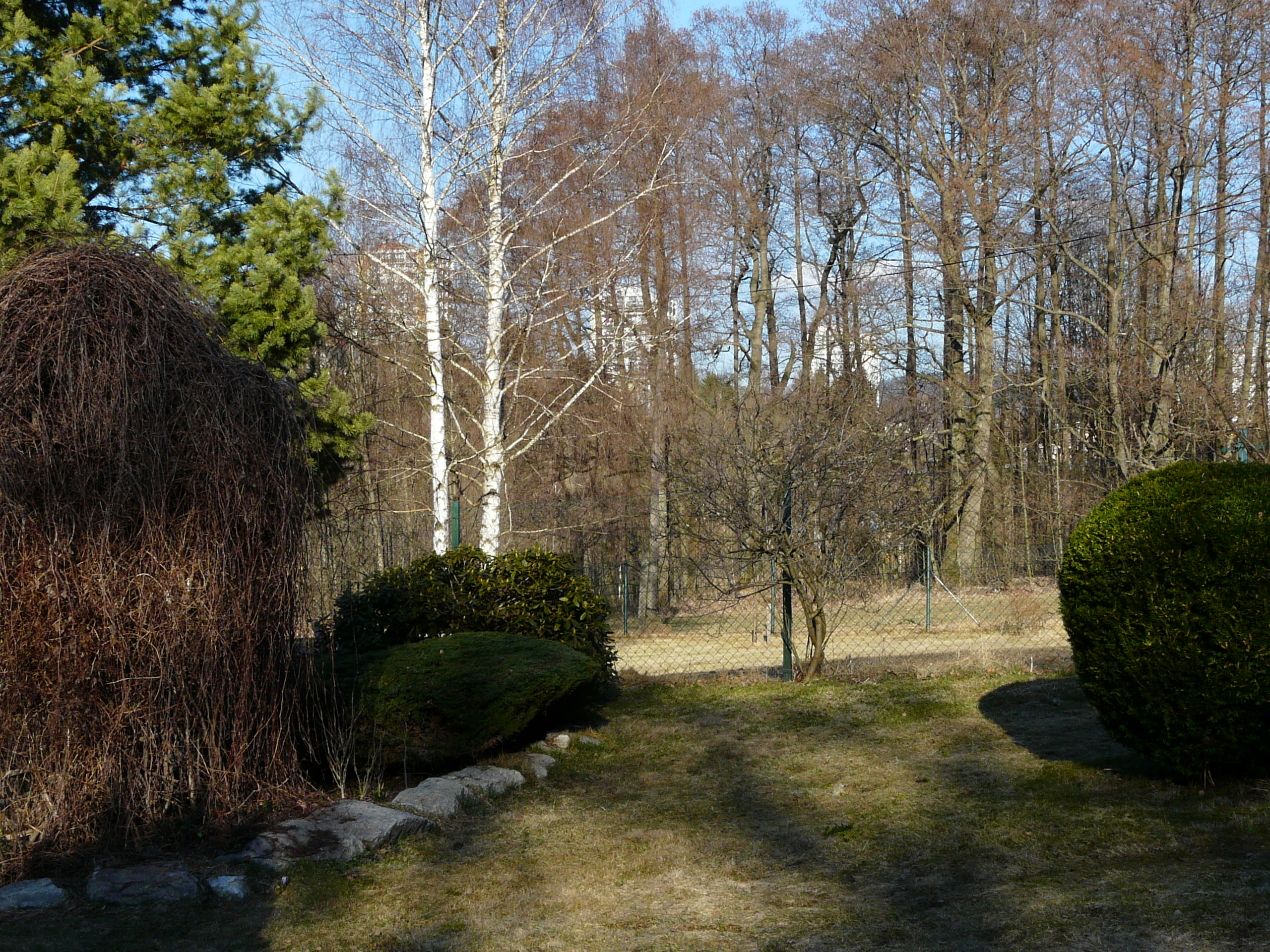 Stanislav Konečný - služby pro dům a zahradu foto 2