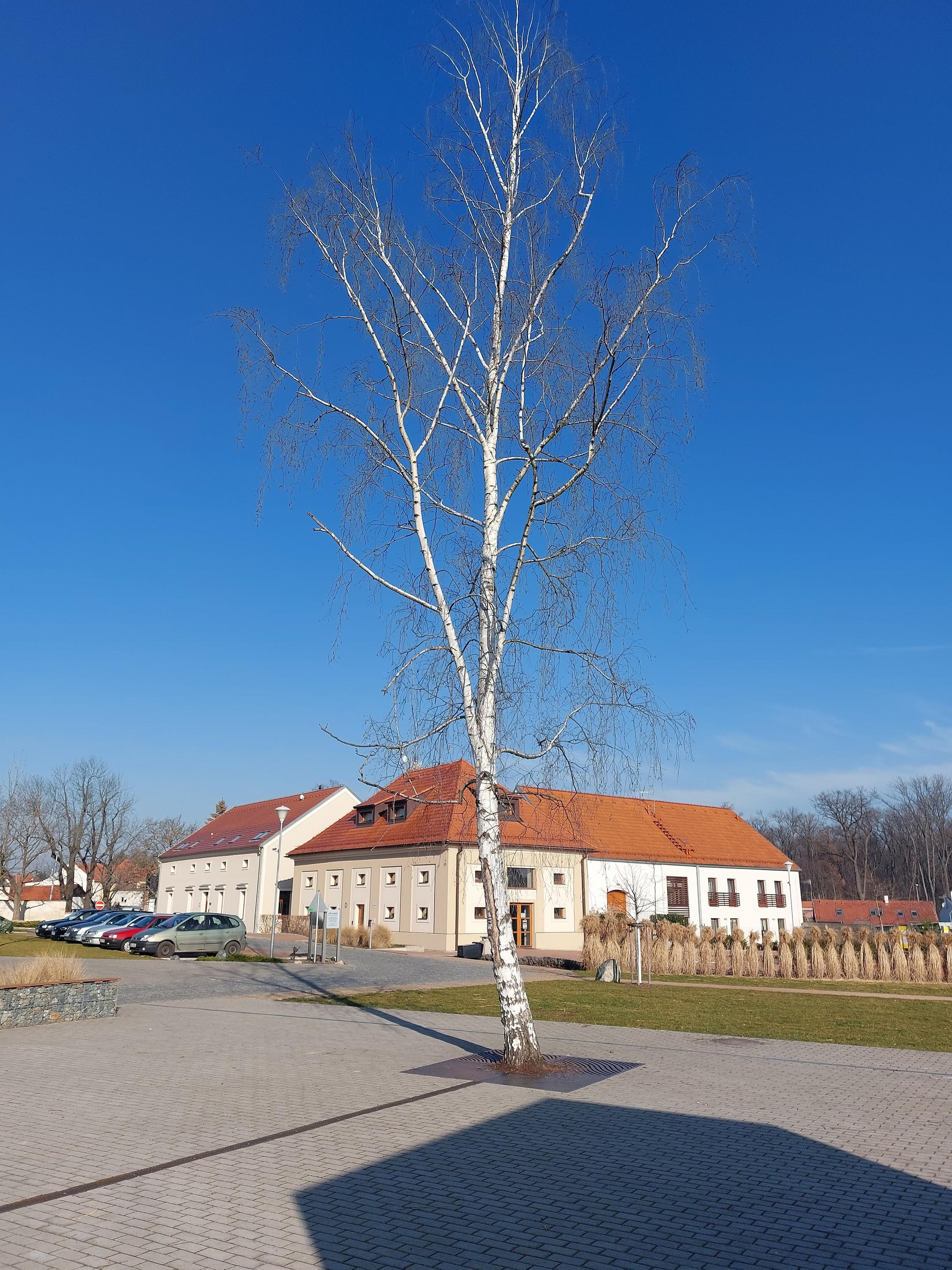 Komunitní centrum Jiřího Hubače foto 5