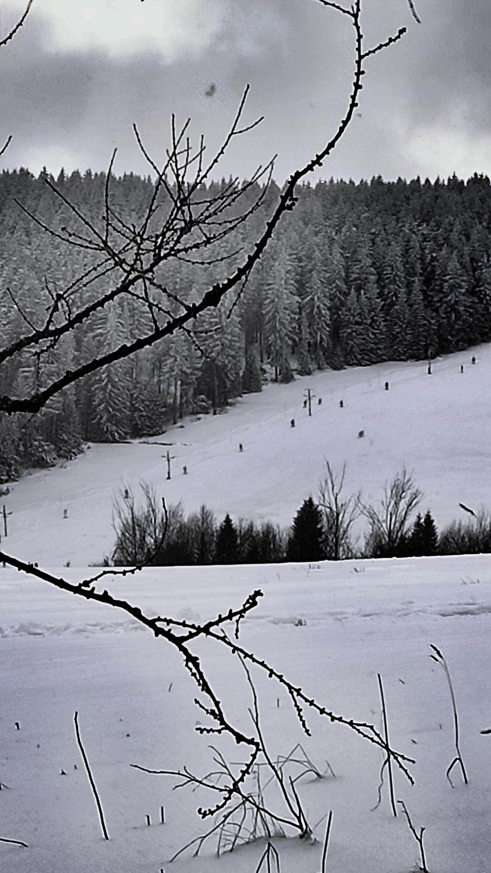 Lyžařský vlek U lesa foto 6