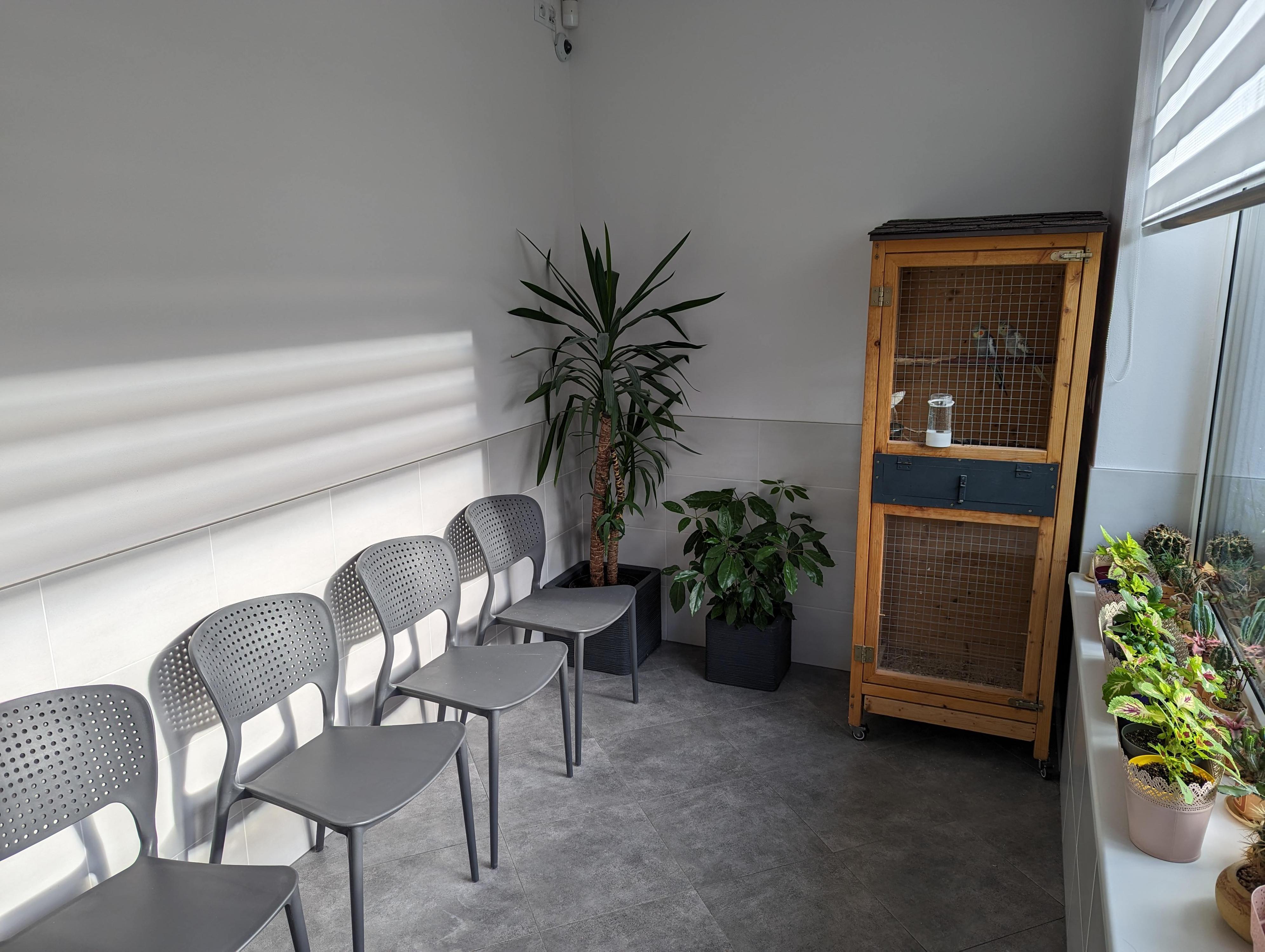 Veterinární ordinace Petra foto 4