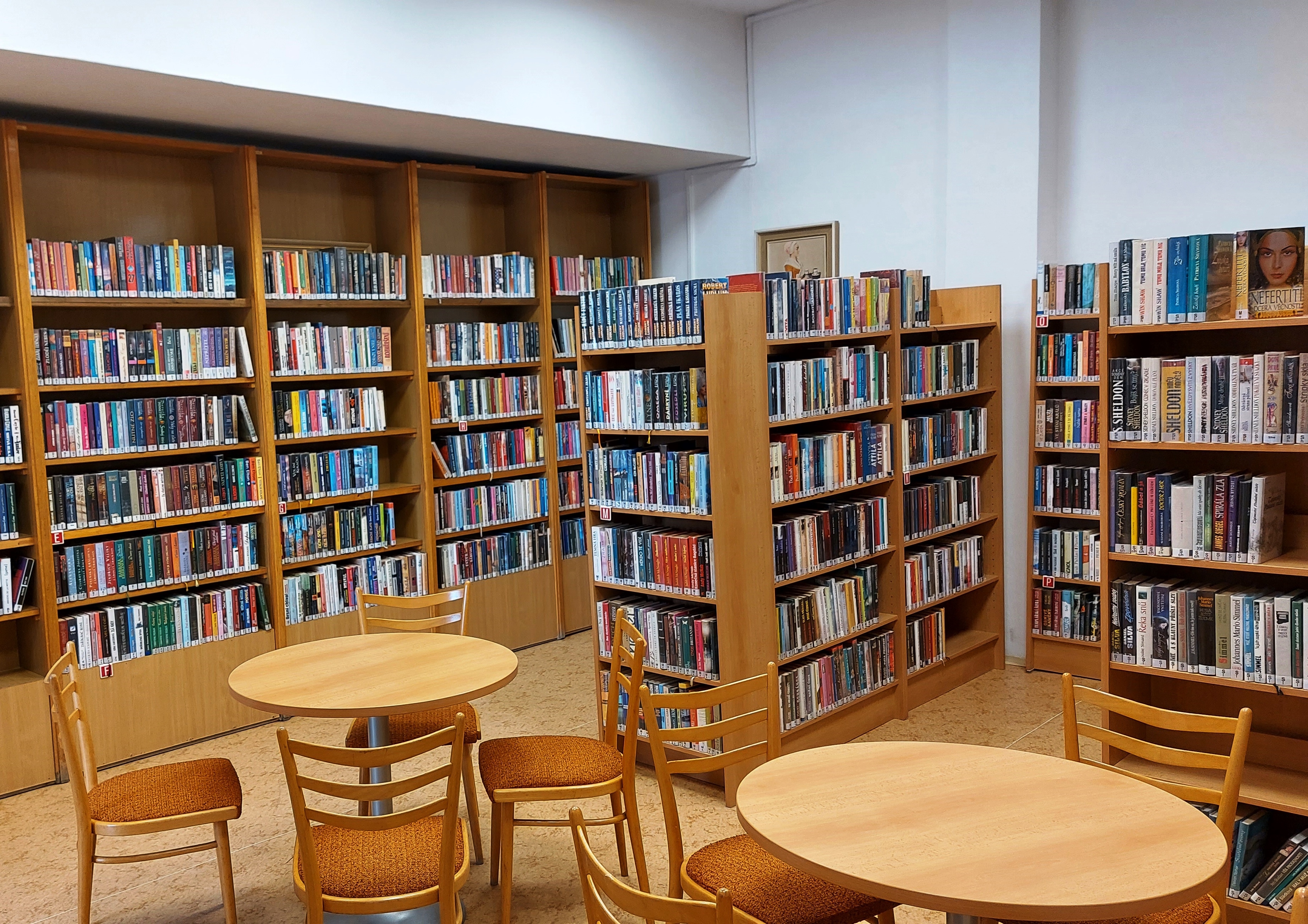 Husova knihovna, Pobočka Tyršova čtvrť foto 4