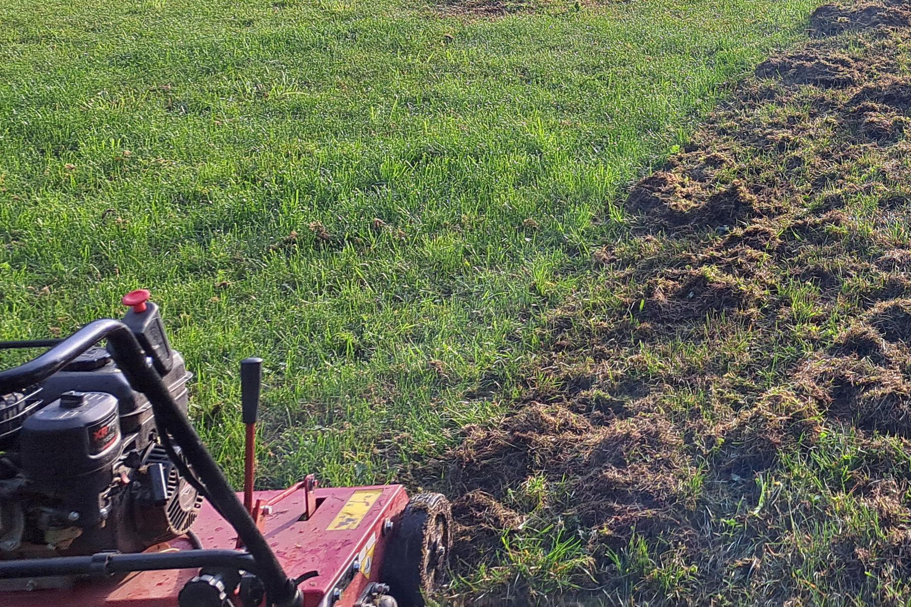 Vertikutace trávníků se sběrem, hnojení a renovace