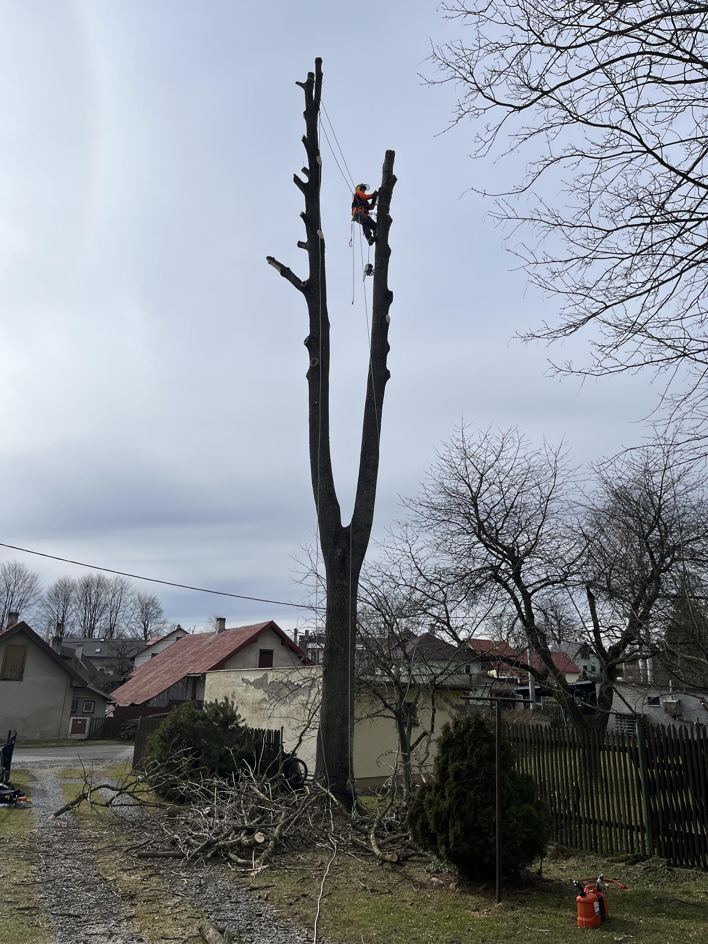 Rizikové kácení Martin Dušek foto 2
