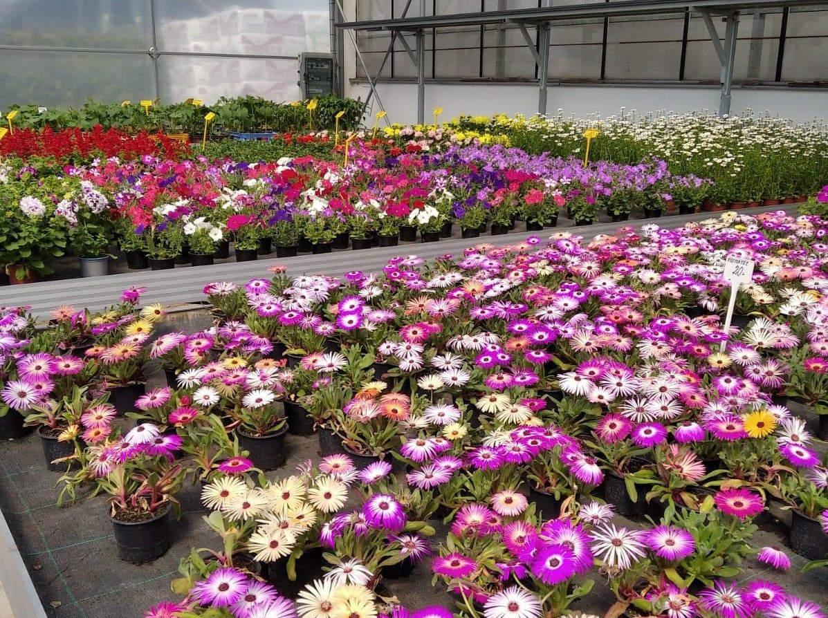 Zahradnictví Souhrada