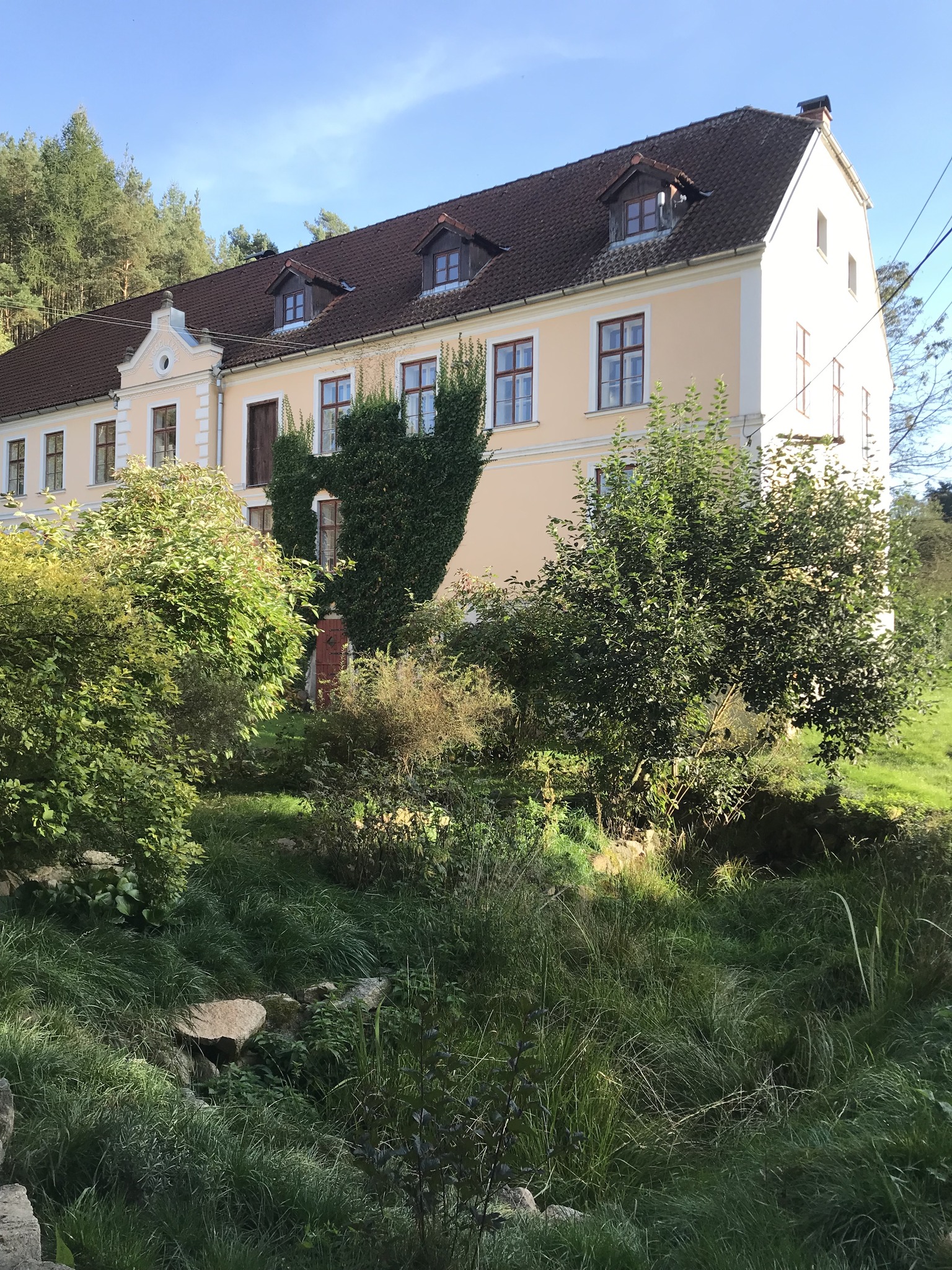 Tereza Hausmanová - lektorka jógy foto 4