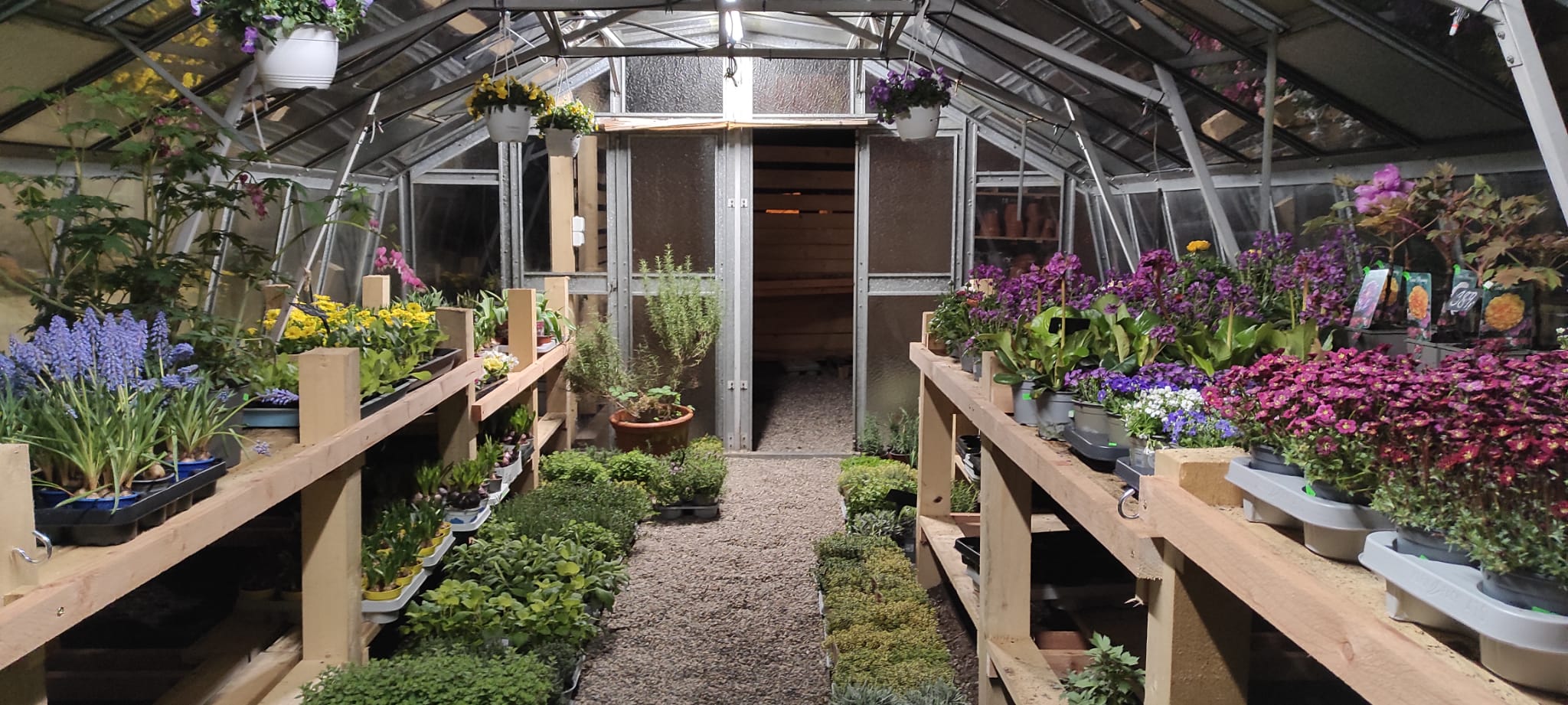 Zahradnictví U Vodičků foto 5